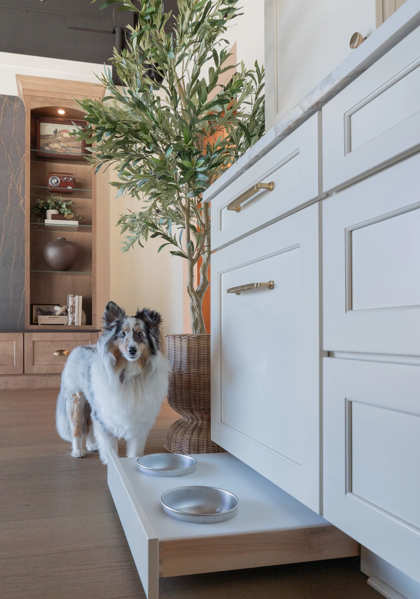cute dog in newly design kitchen remodel space with clean white walls and pull out dog drawer 