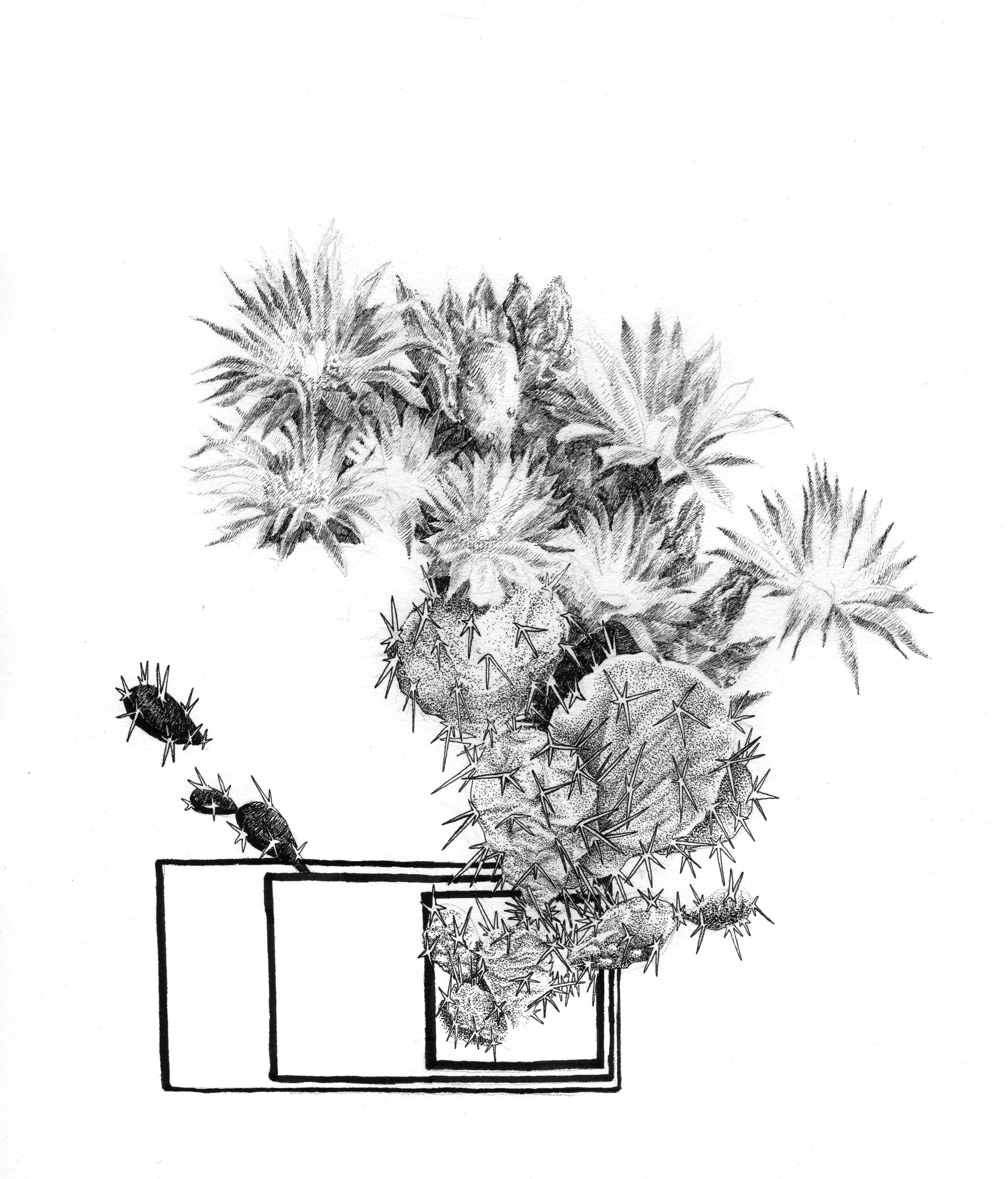 Drawing2-Edit.jpg
