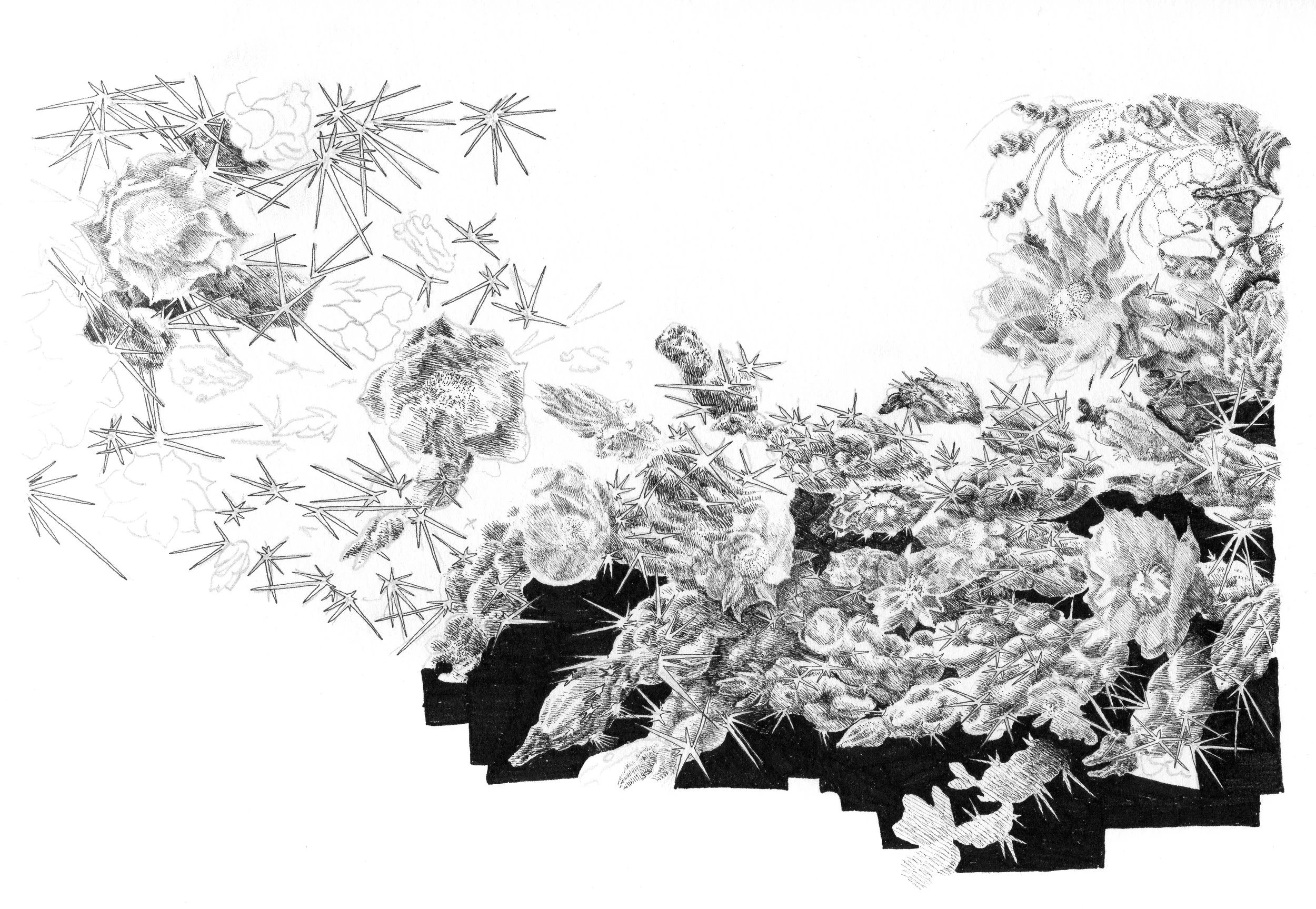 Drawing3-Edit.jpg