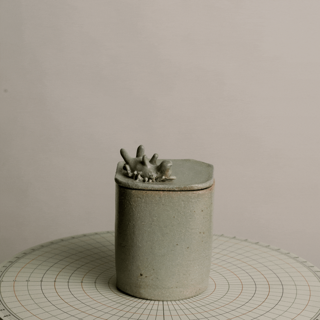 Small ceramic container with a lid, featuring a sculpture of a caterpillar on top, placed on a circular grid-patterned surface.