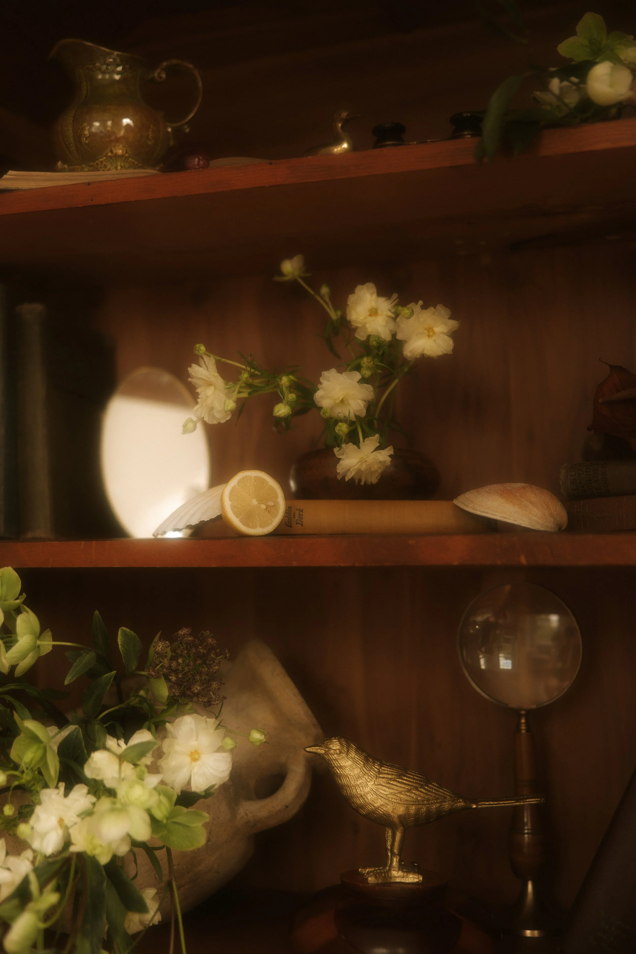 selah&bloomphotoco-194.jpg