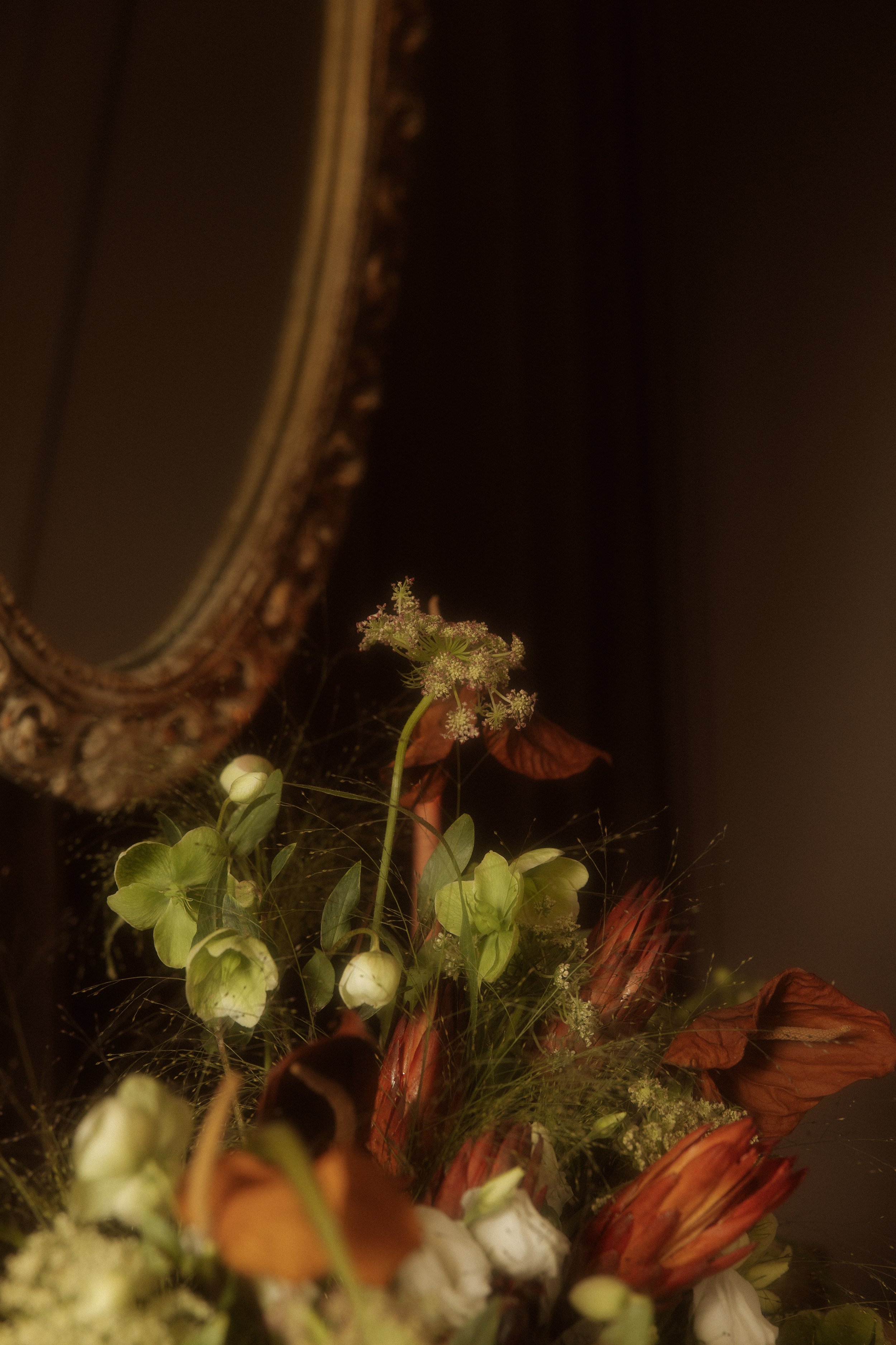 selah&bloomphotoco-33.jpg