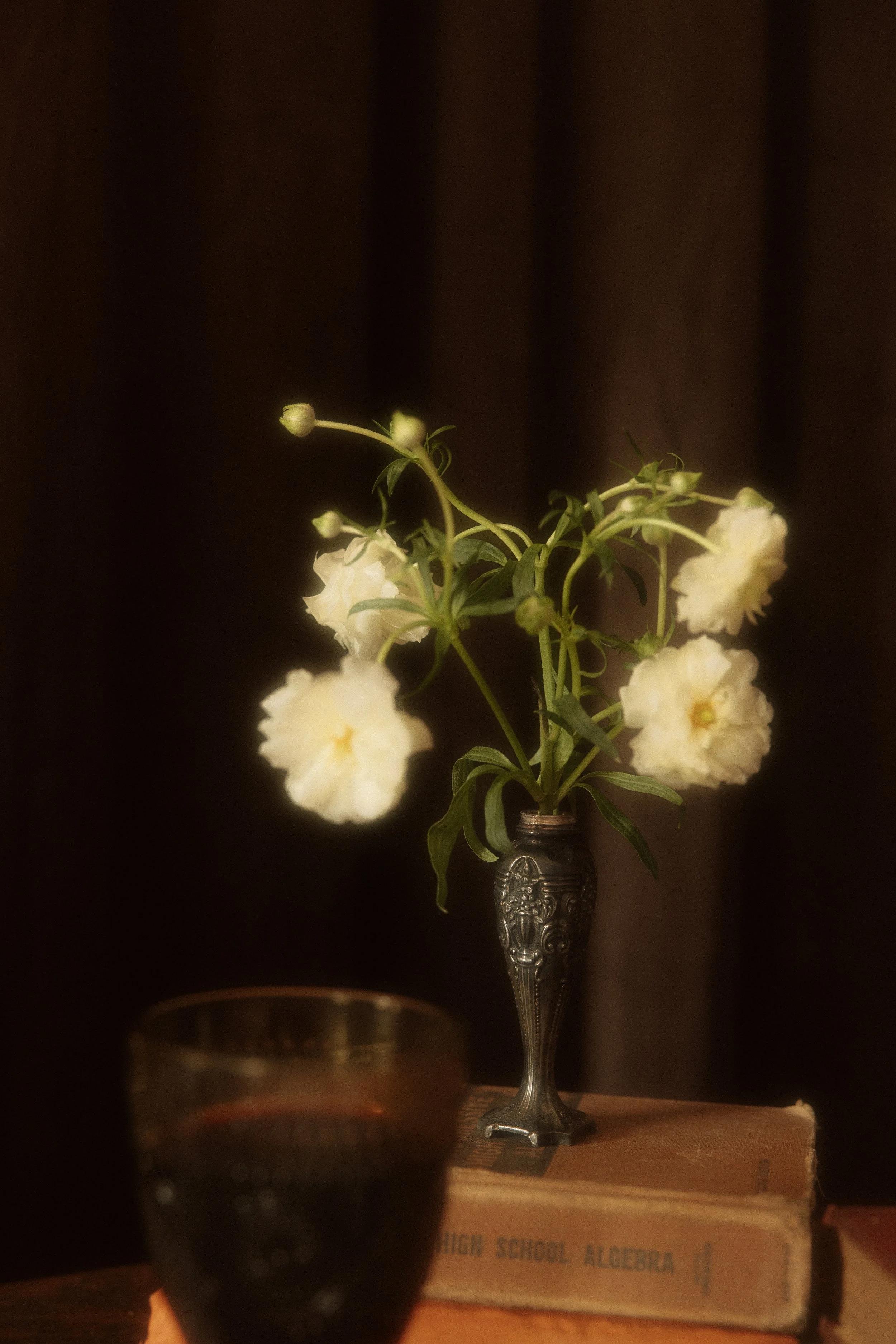 selah&bloomphotoco-9.jpg