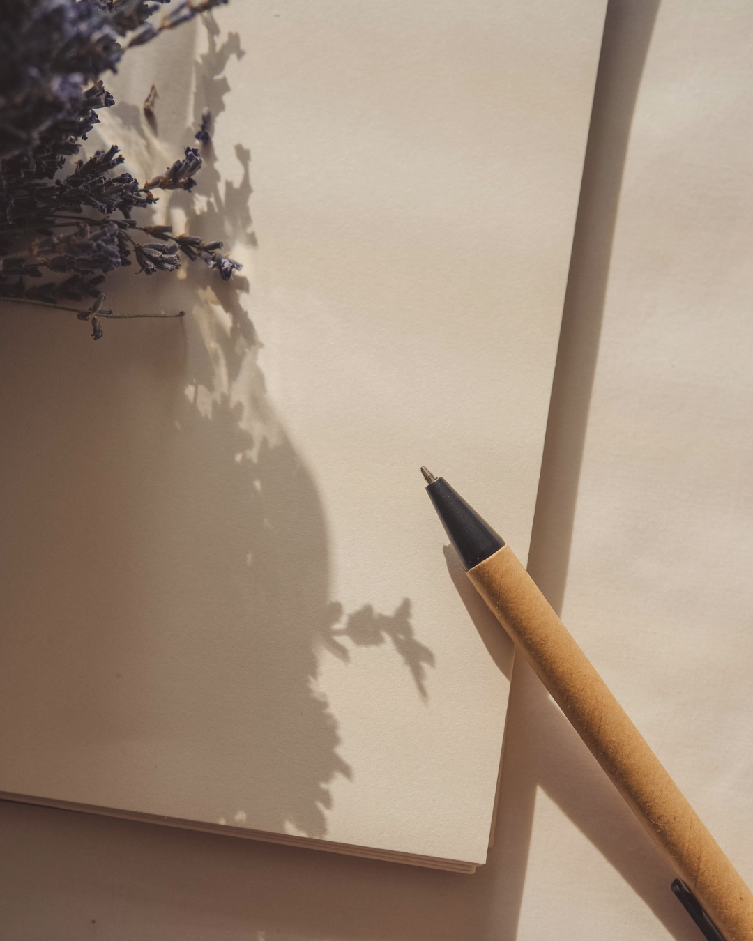 A blank sheet of paper with a dried lavender flower on the left and a black and brown pen on the right, casting shadow on the paper.