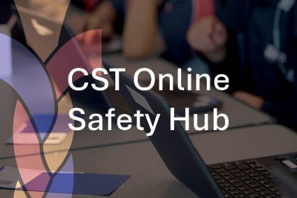 CST Online Safety Hub button
