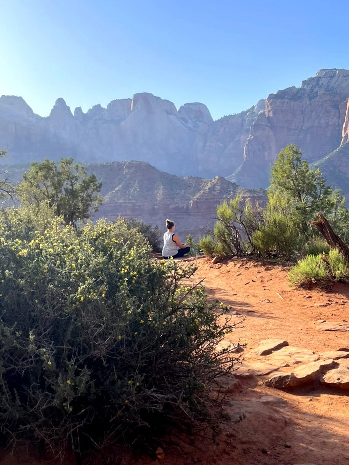 zion_journaling_final.jpg