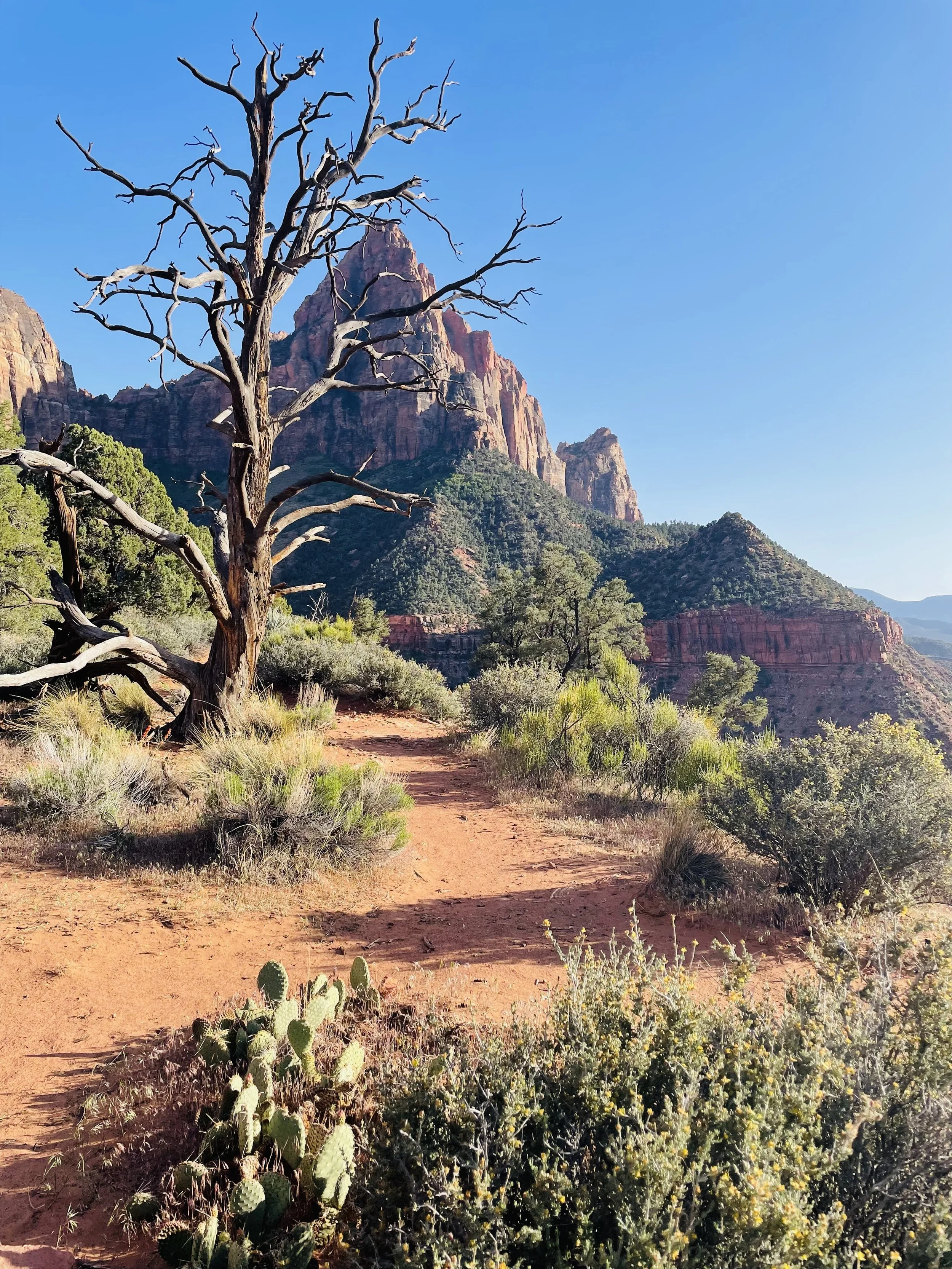 Antelope Canyon, Zion &amp; the Grand Canyon