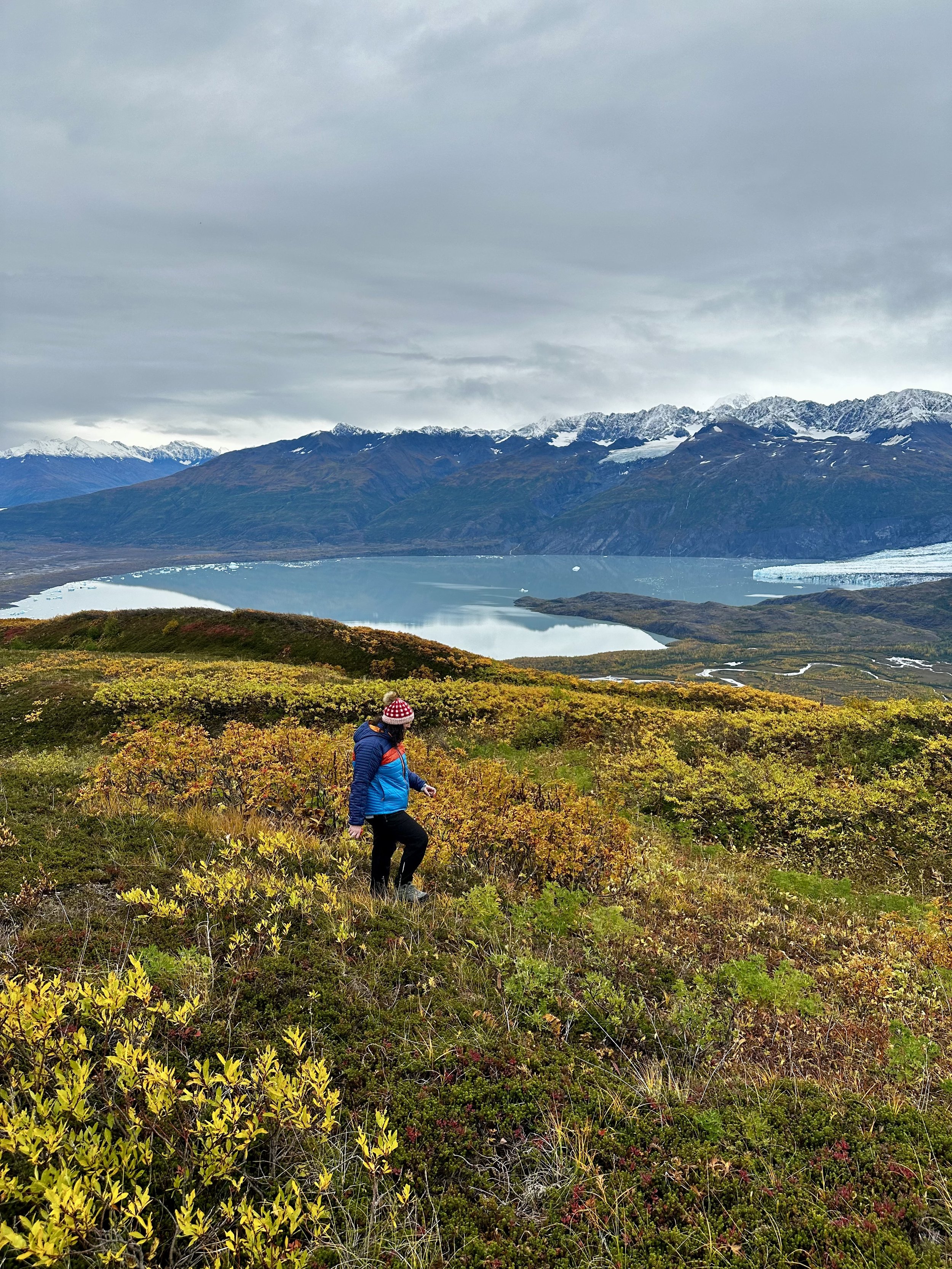 Jen hiking through golden fall tundra with a glacial lake and Knik Glacier in the distance, Alaska