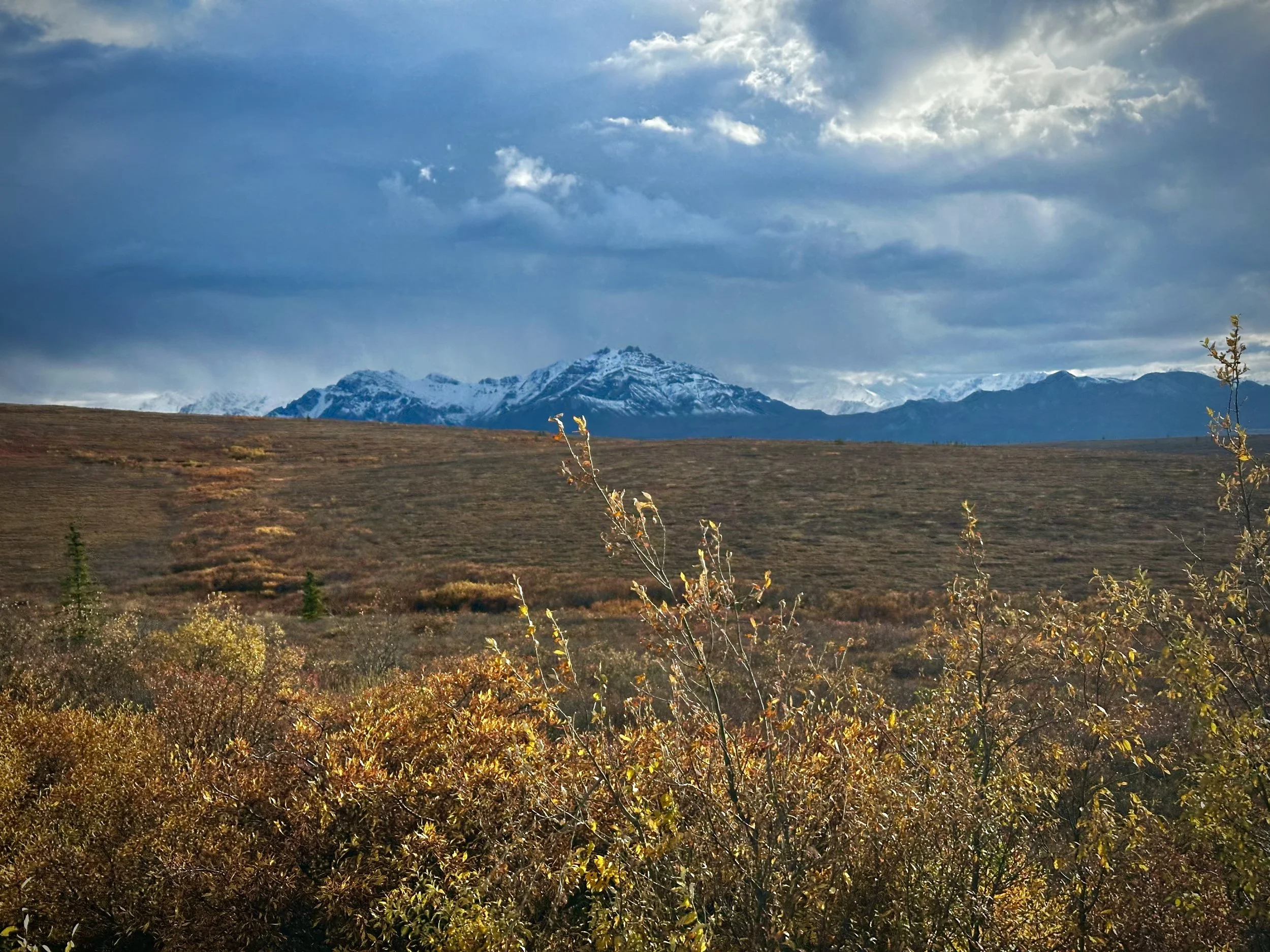 Fall foliage and snow-capped mountains along Hatcher's Pass, Alaska, with storm clouds rolling over the peaks