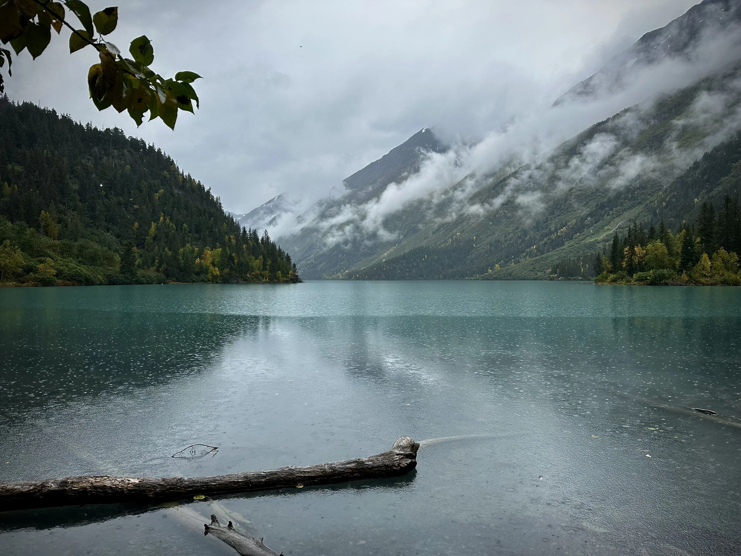 A misty, rain-covered lake with driftwood in the foreground and low clouds over the mountains, Alaska