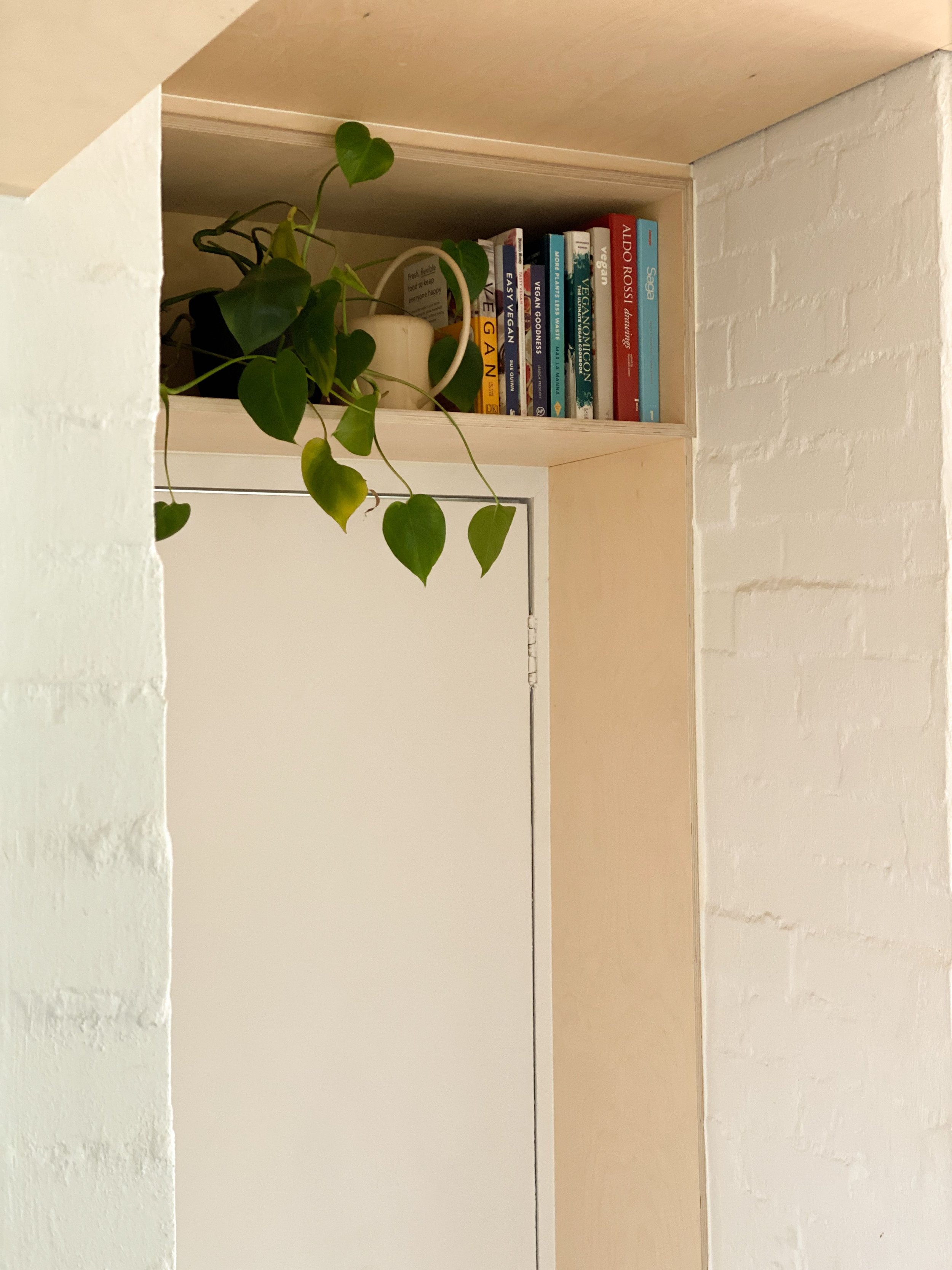 Built-in plywood shelf with books and a trailing plant, above a white door set into painted brick