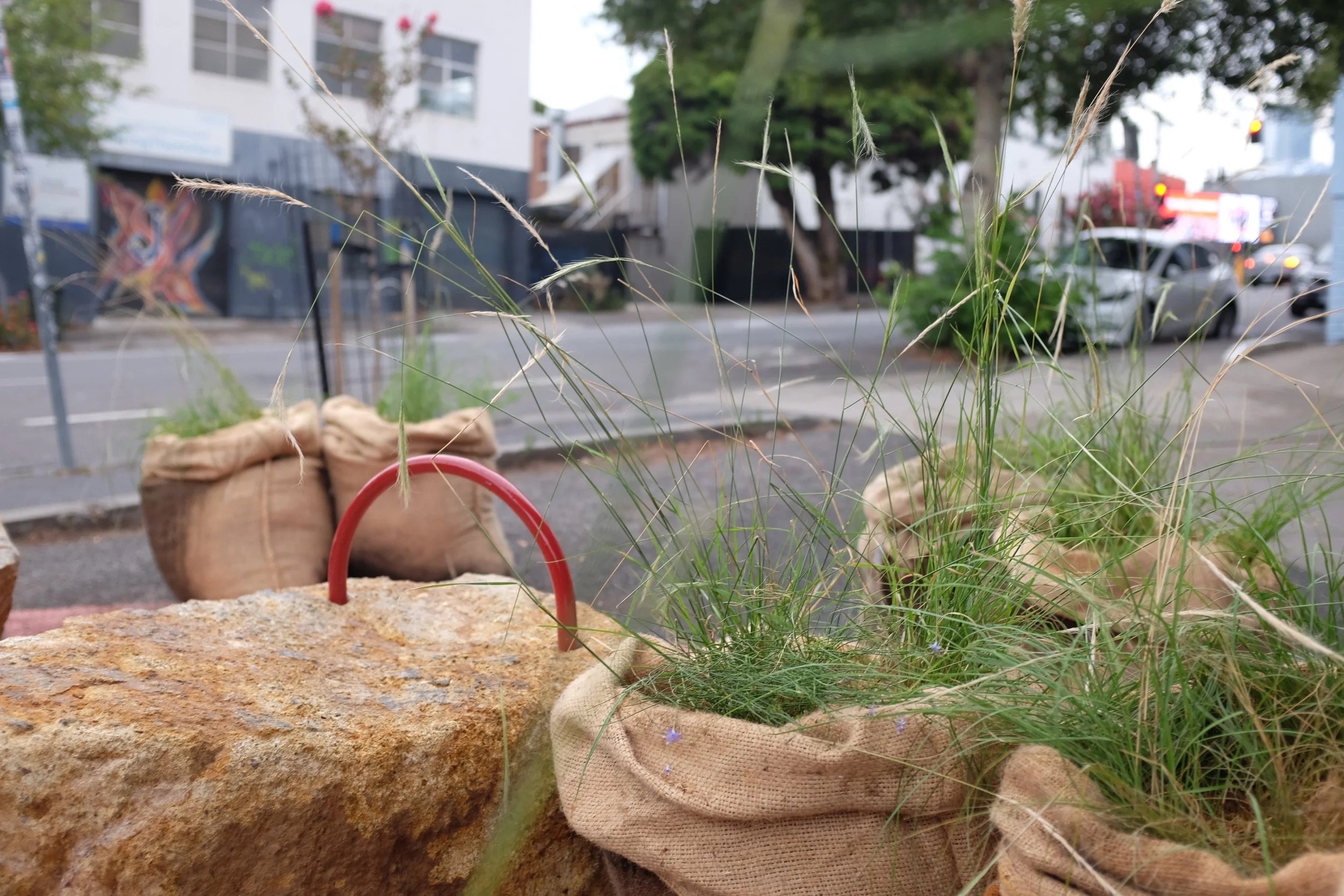 Street-level view through grass-filled sacks and red steel handles
