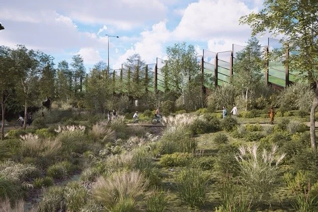 Render of native grasses and shrubs planted along the freeway corridor, with a noise wall behind
