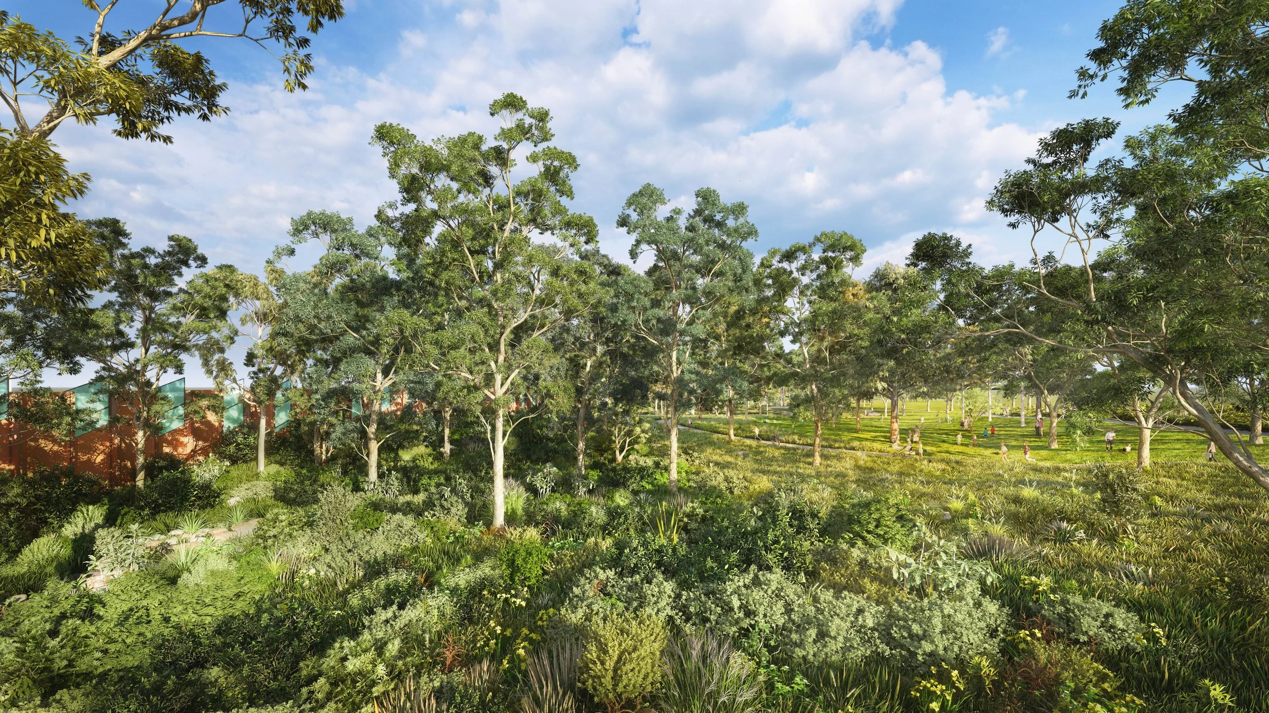 Render of open woodland with gum trees and native undergrowth
