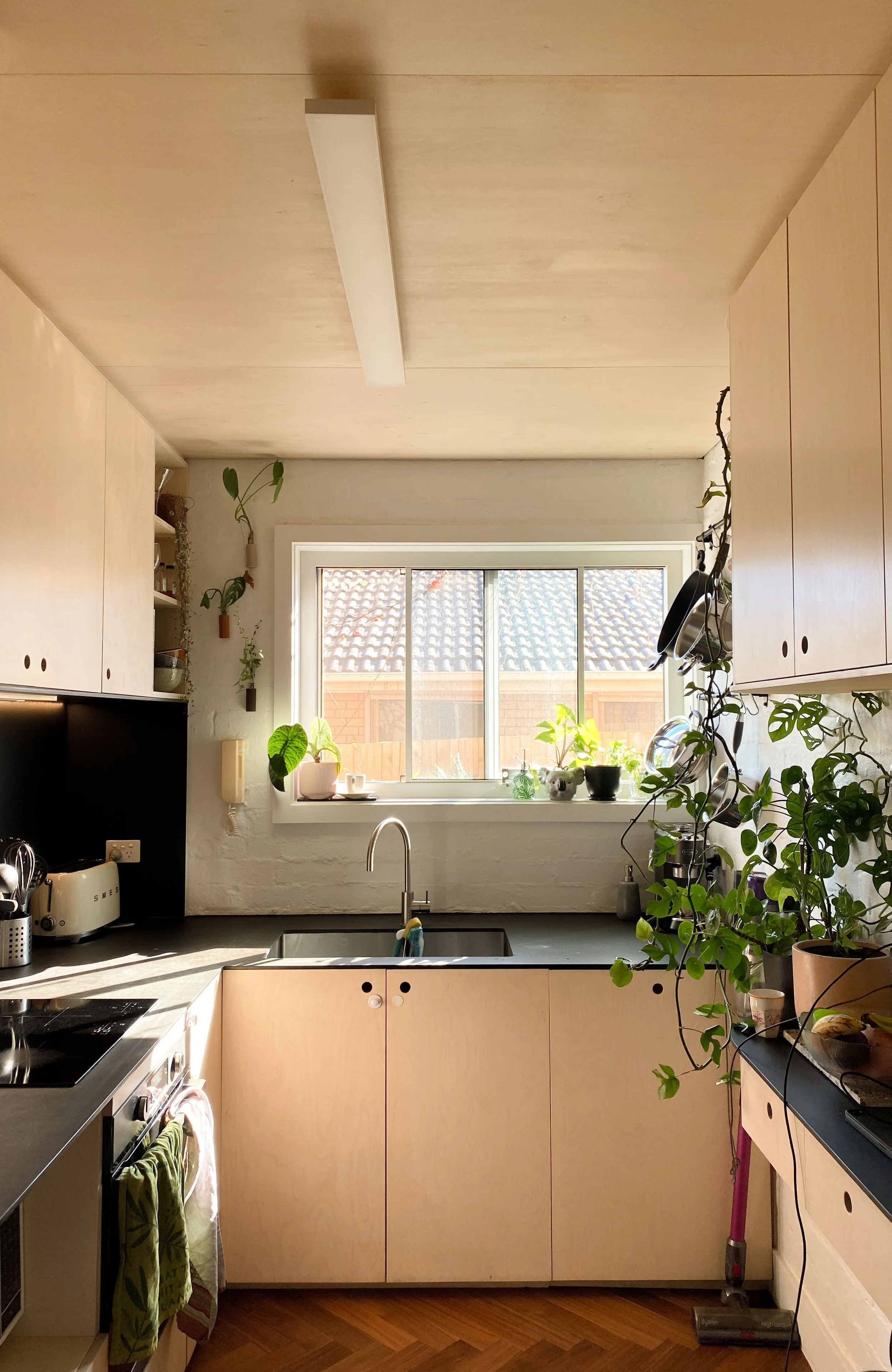 Compact kitchen with plywood cabinetry, a black benchtop and a window over the sink, lined with indoor plants