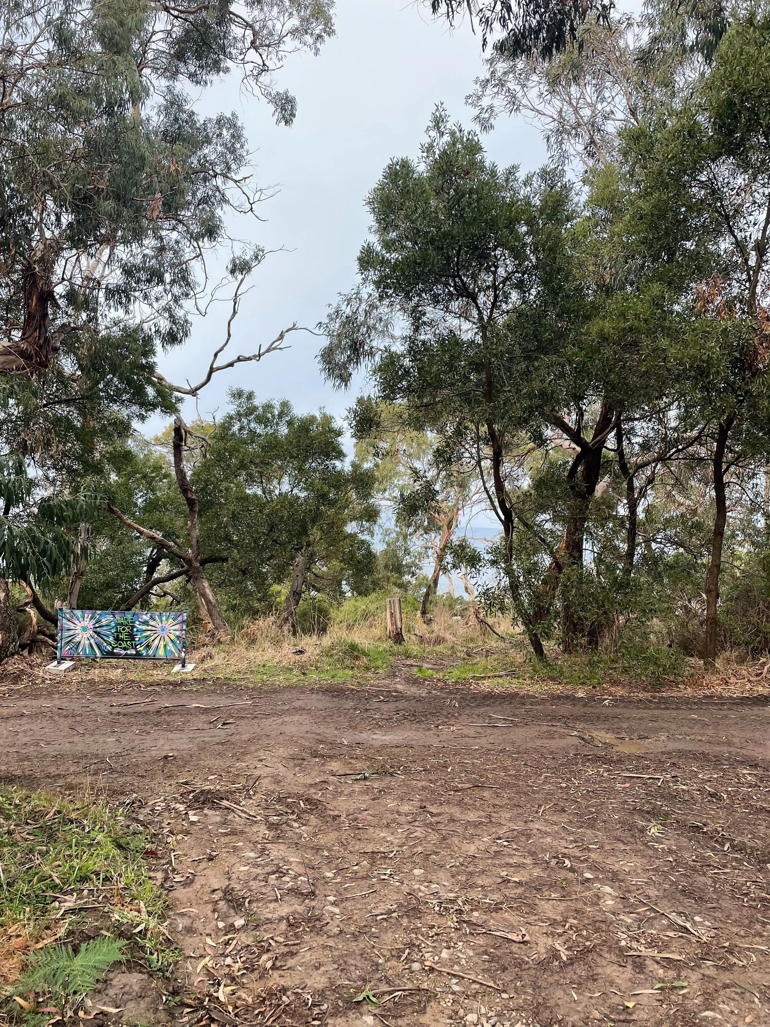 Open clearing in coastal bushland, with a small sign among the trees