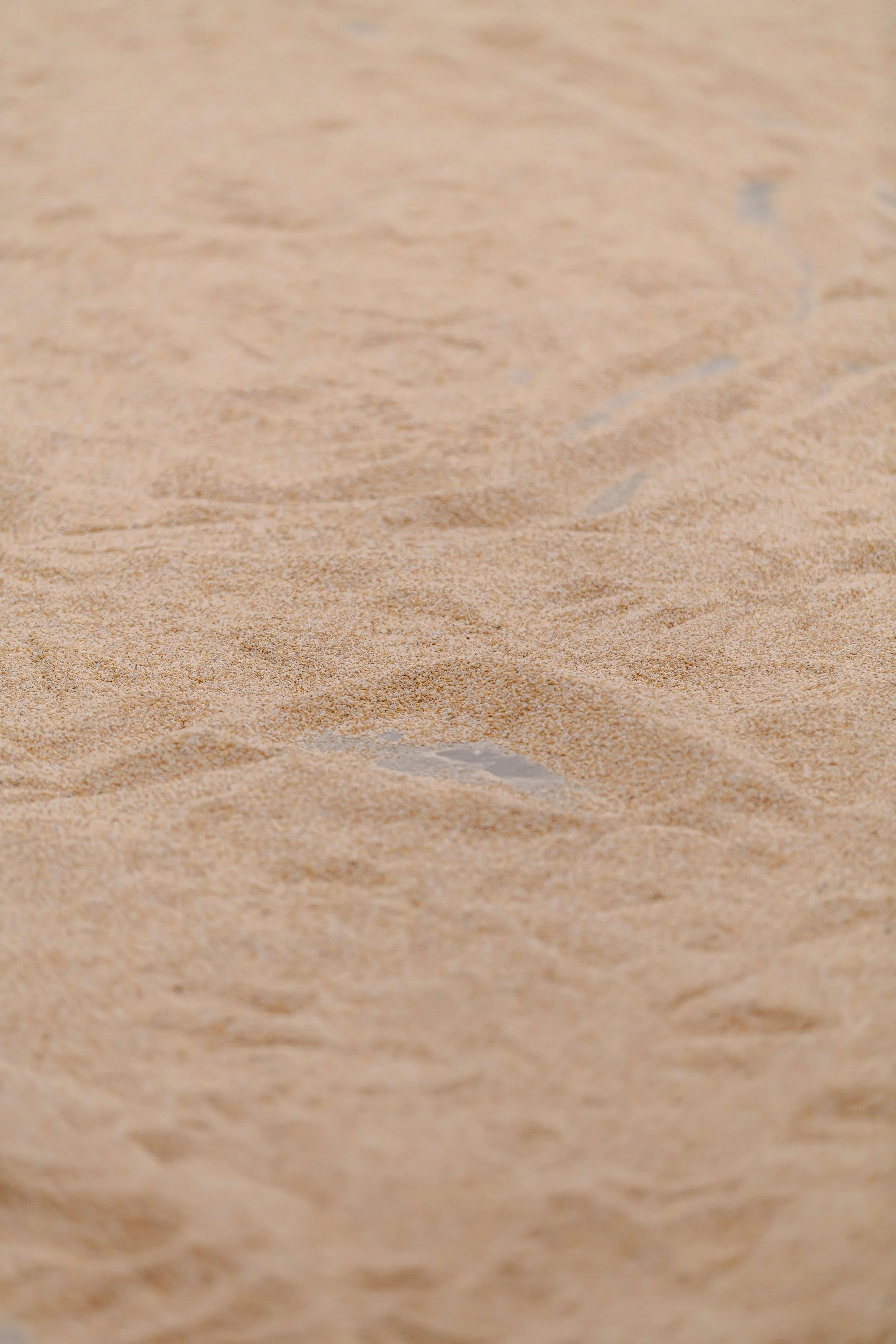 Close-up of the sand floor, rippled by footprints