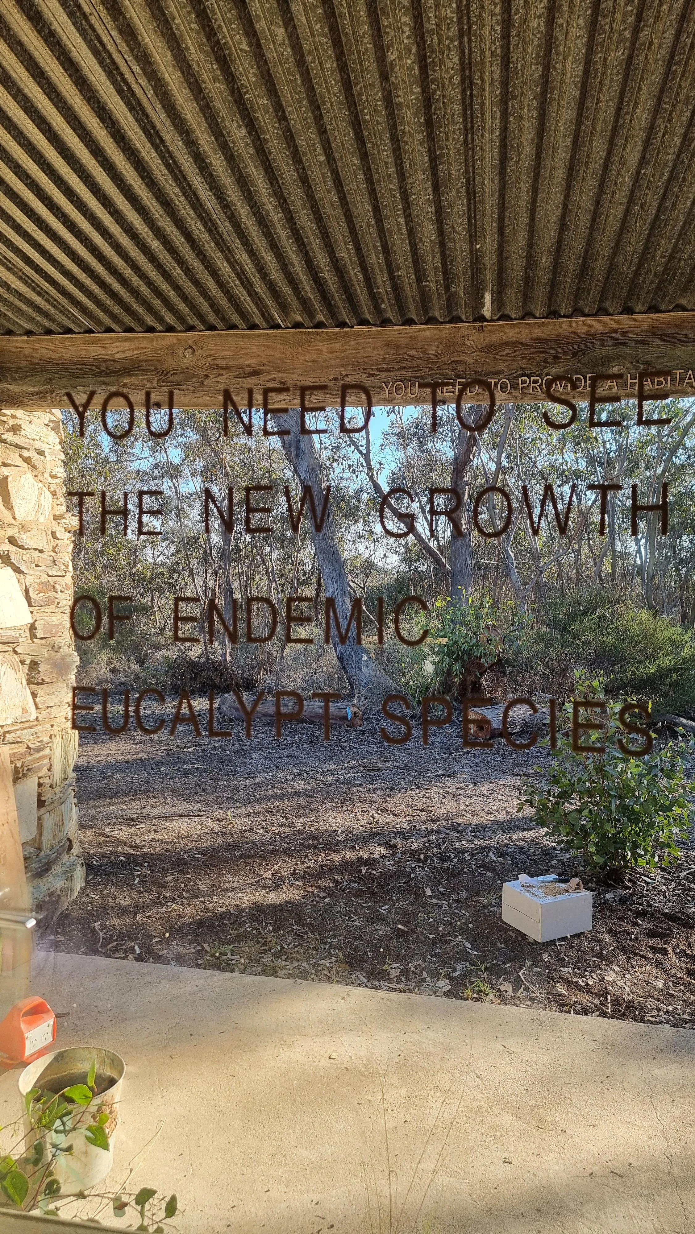 "You need to see the new growth of endemic eucalypt species" lettered across glass, with a stone wall and bushland garden beyond