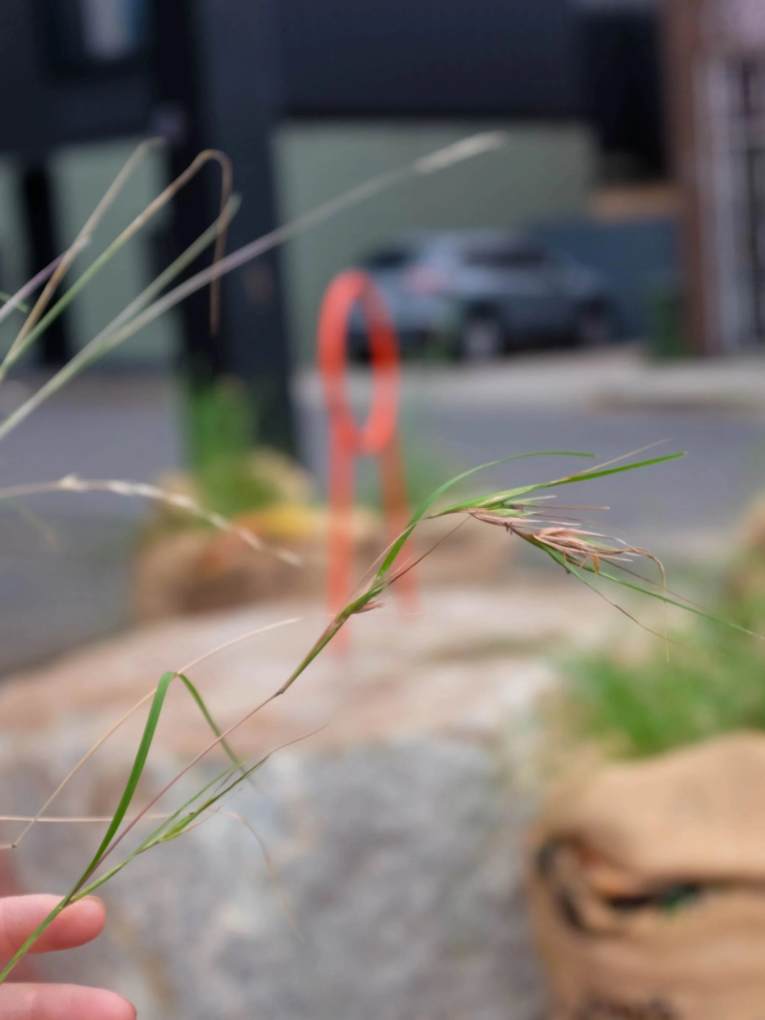 Grass blades in soft focus with a red steel loop behind