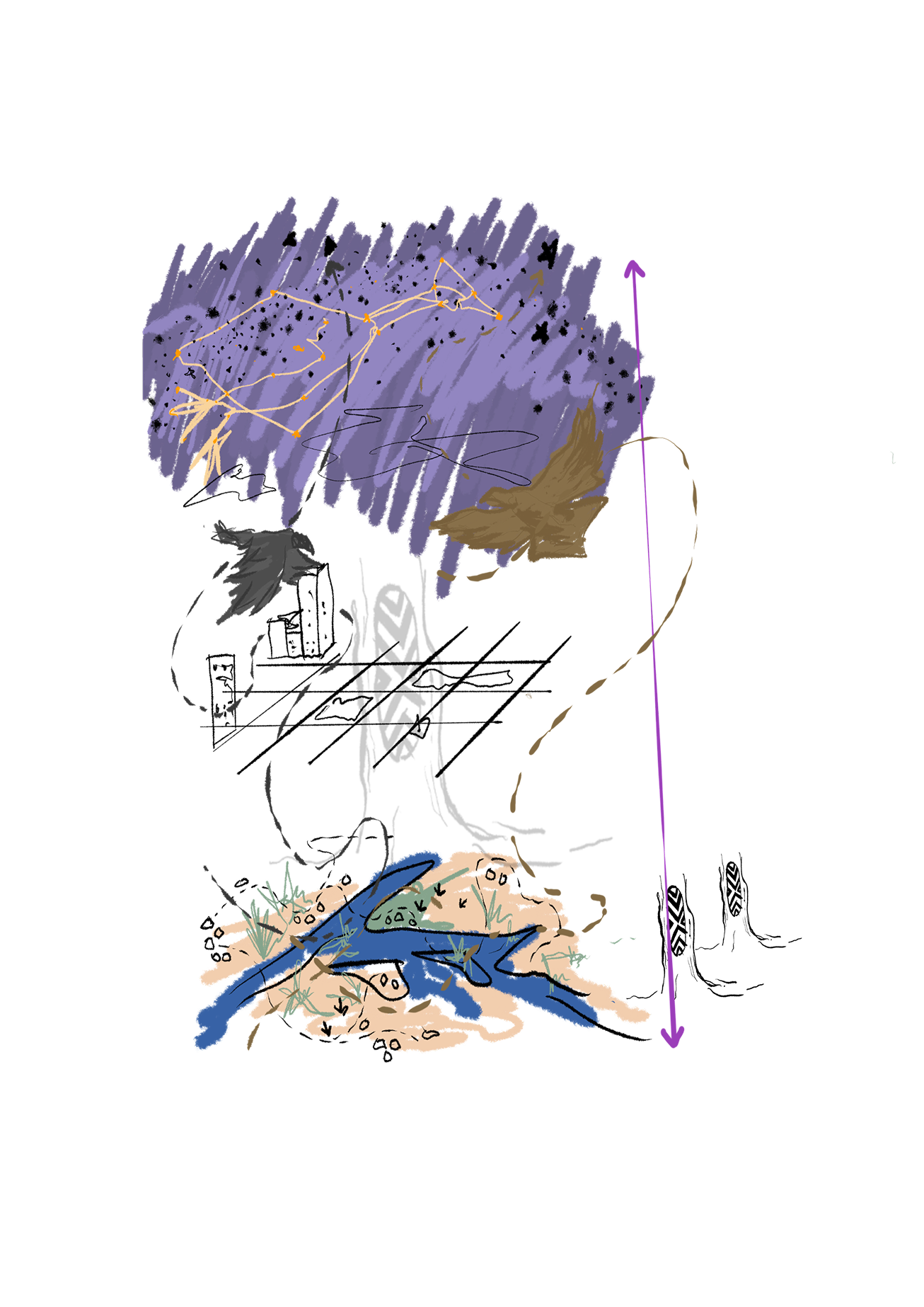 Concept sketch linking sky and ground: a starry purple sky with birds above, the building's framework in the middle, and water, earth and planting below, joined by a vertical arrow