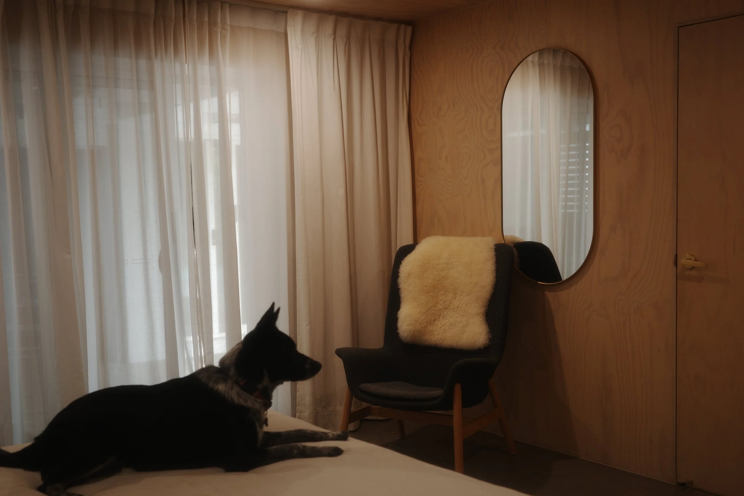 A dog lying on the bed in a plywood-lined bedroom with an armchair and tall oval mirror