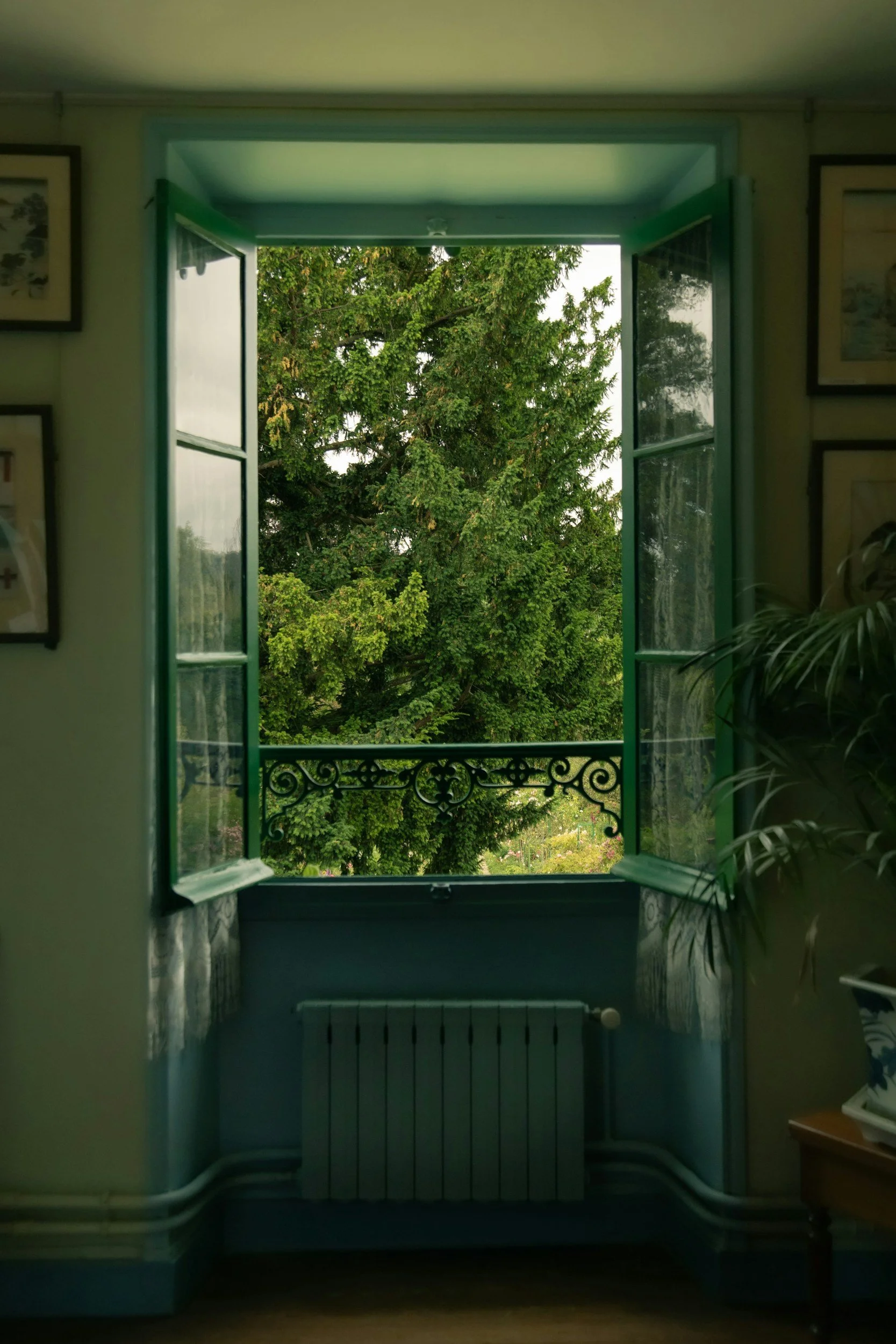 Open window with green frame showing green trees and sky outside, interior of a room with framed pictures on the wall, a radiator below the window, and a potted plant on the right.