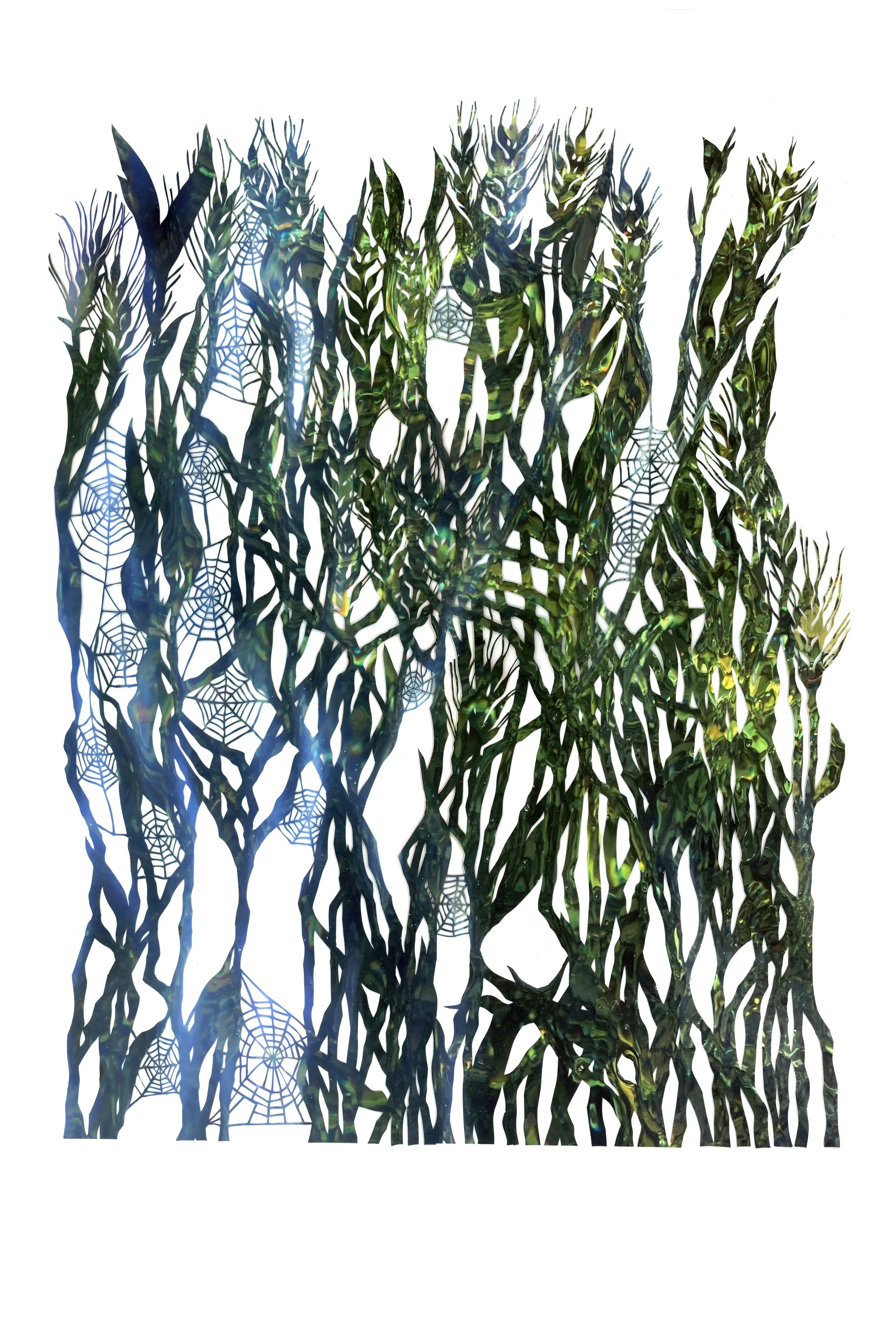 Spiderwebs in Grass, Notes From an Island Series, 2024-2026