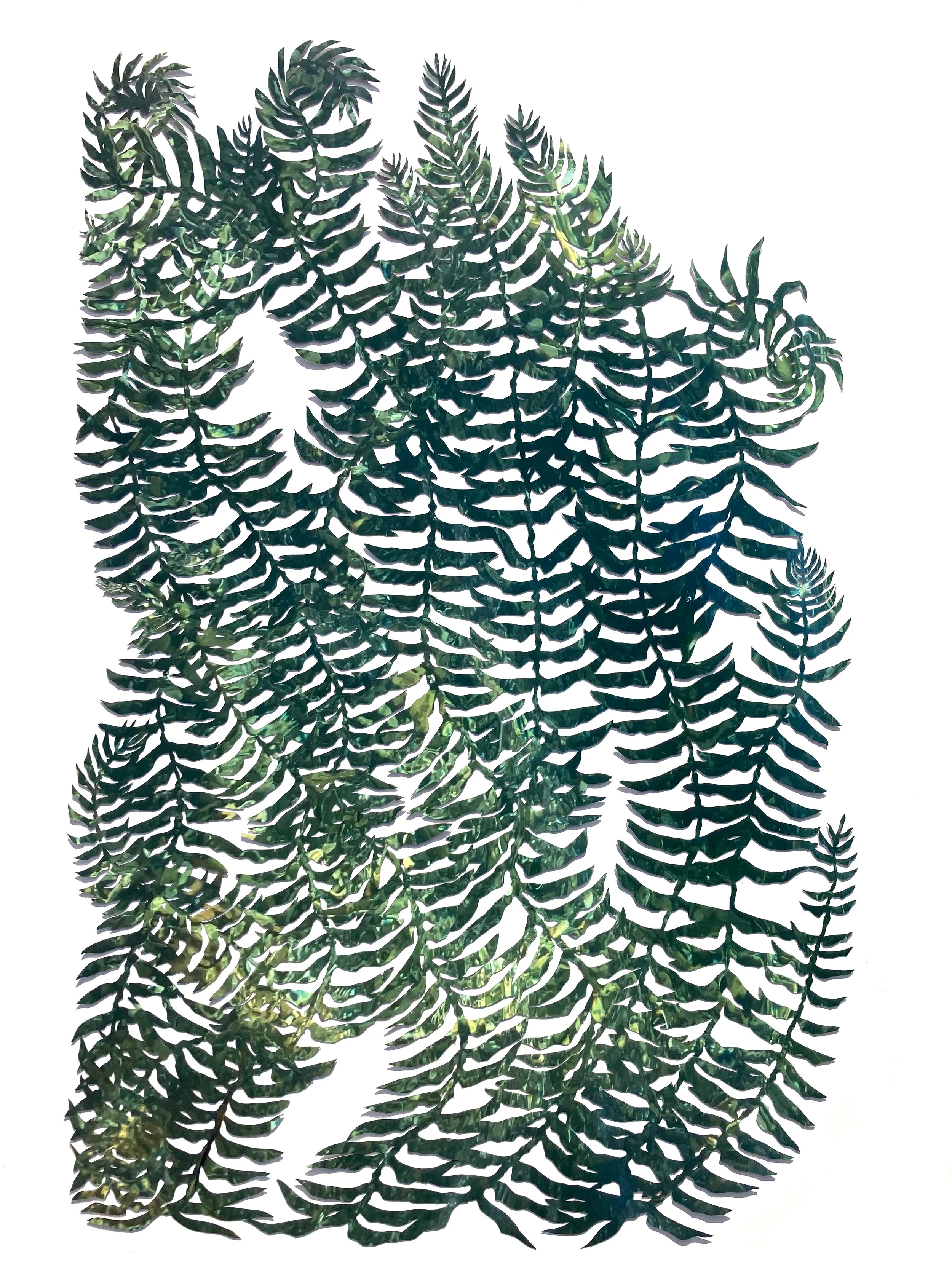 Fern 2, Notes From an Island Series, 2024-2026