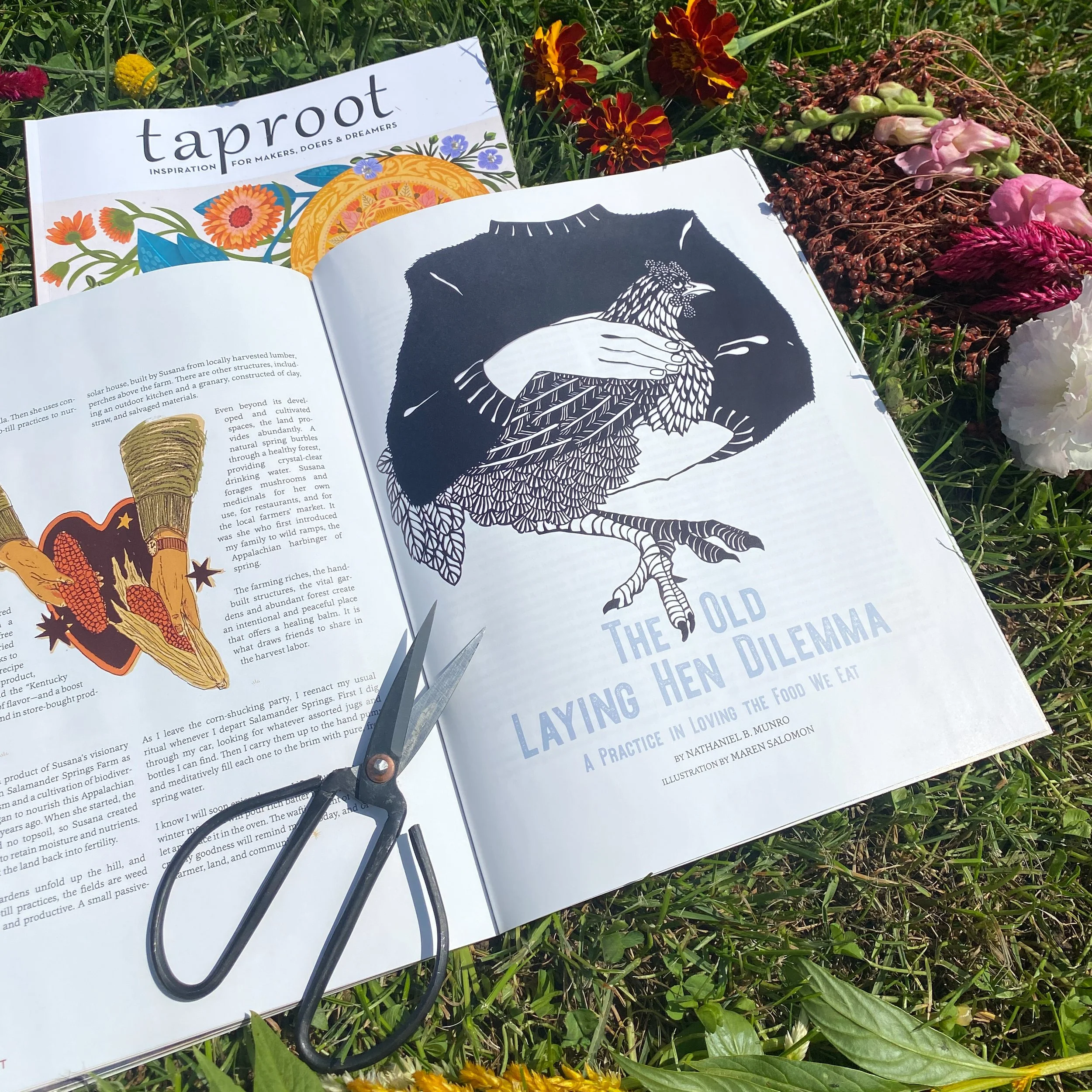 llustration for Taproot Magazine Issue 58, 2023.

Cut paper illustration for Nathaniel B. Munro's article 'The Old Laying Hen Dilemma' featured in Issue 58 of Taproot Magazine. 

Photograph courtesy of Taproot Magazine 