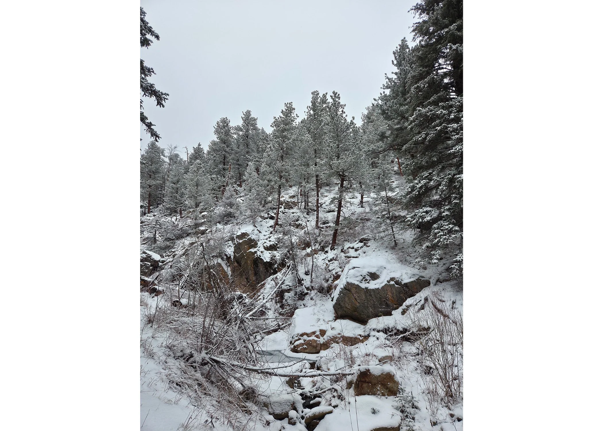 Small Group Expedition Package (2–4 Participants)