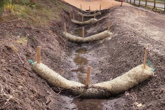 Erosion control logs with wooden stakes in a shallow trench along a dirt walking path.
