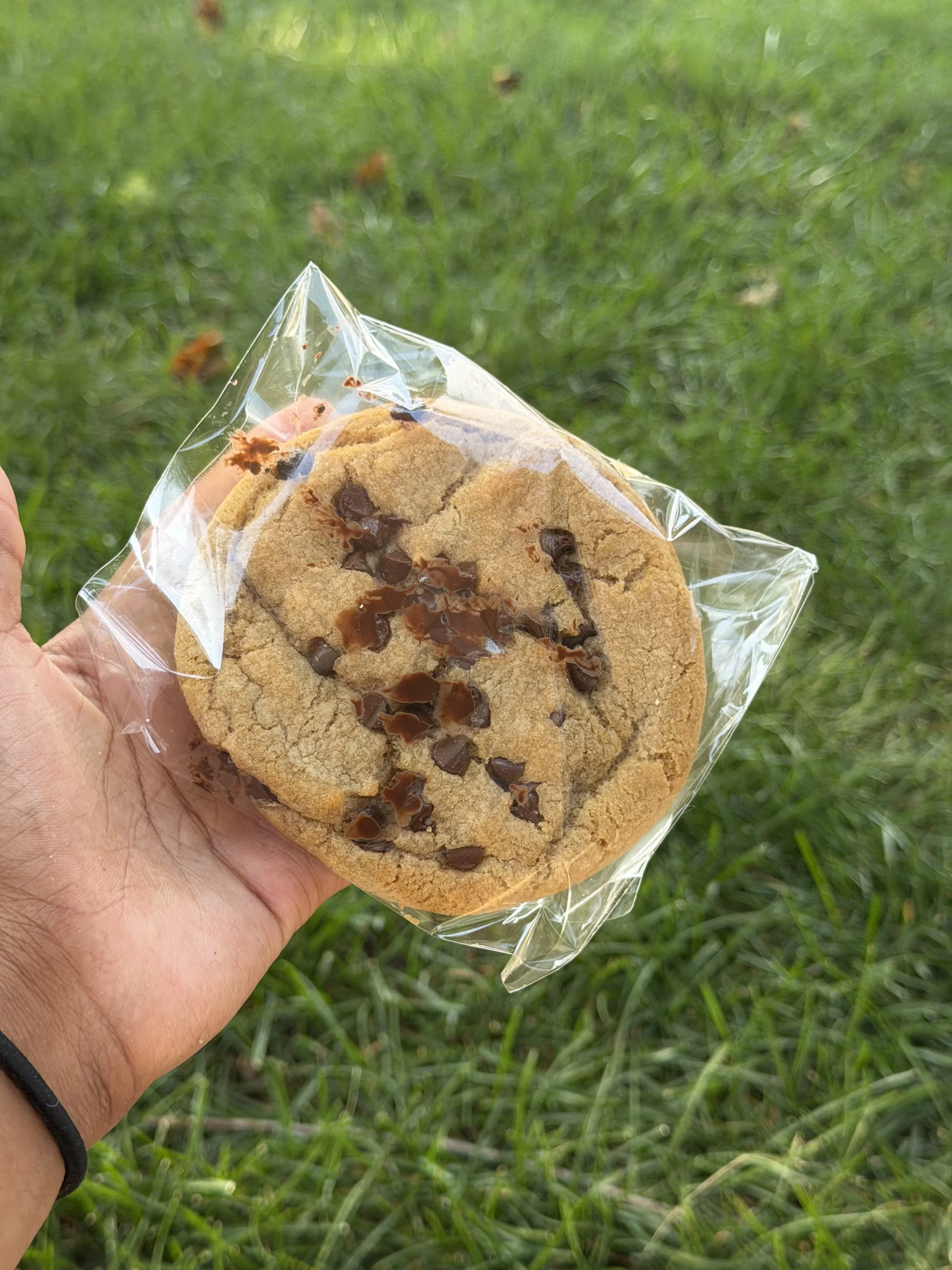 Chocolate chip