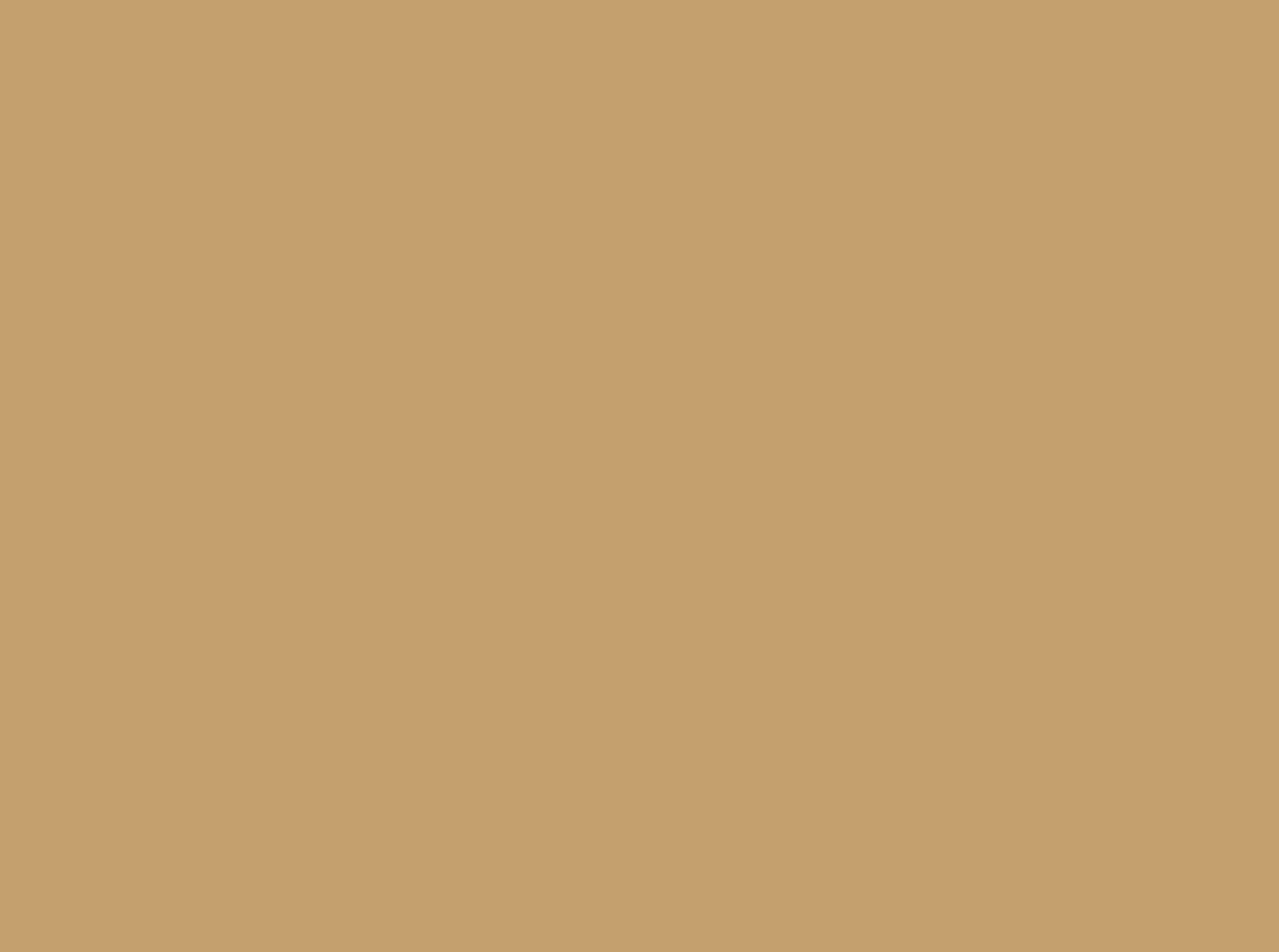 The image is blurred and predominantly brown in color, with indistinct shapes and patterns that are not clearly identifiable.
