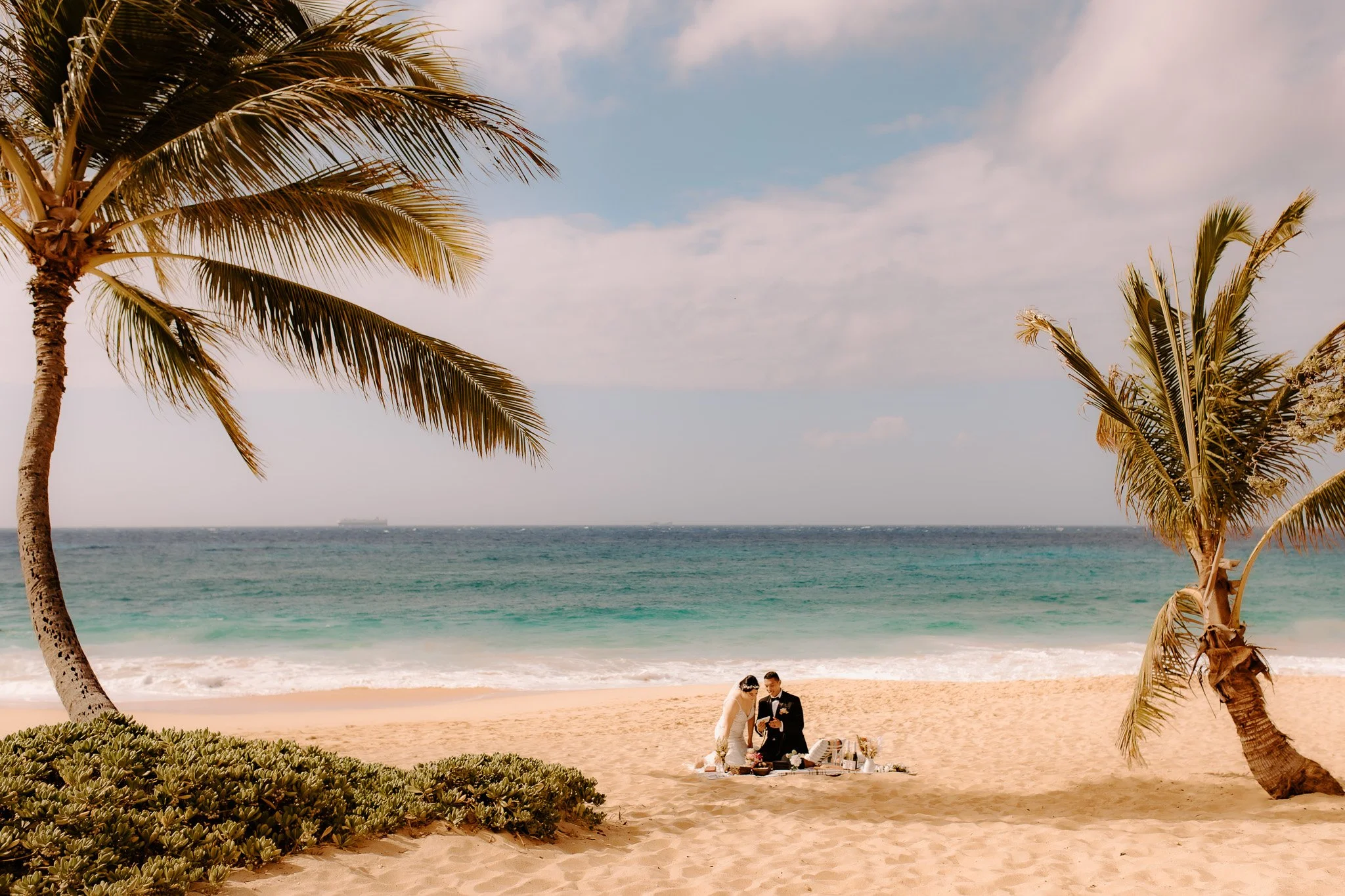 Couple dressed in wedding attire having a picnic on the beach under palm trees with ocean in the background.