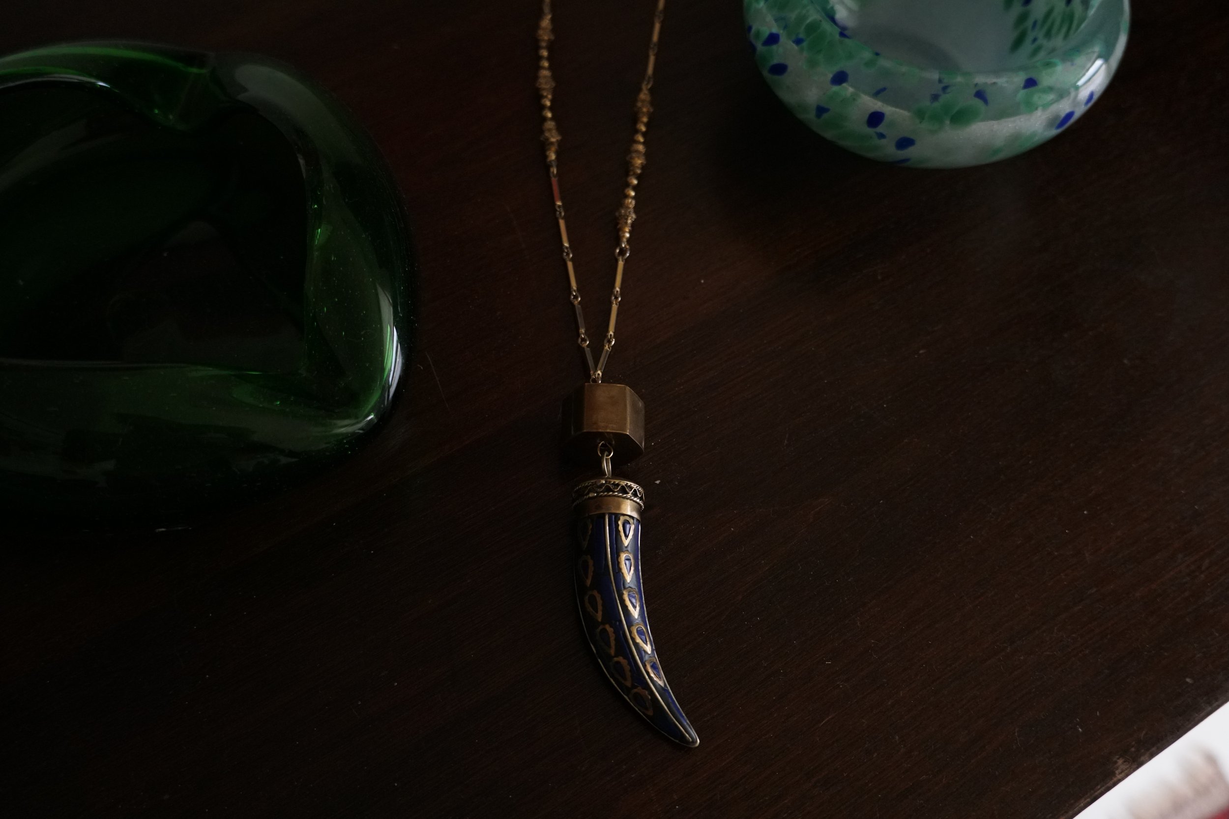 Horn Necklace.jpeg