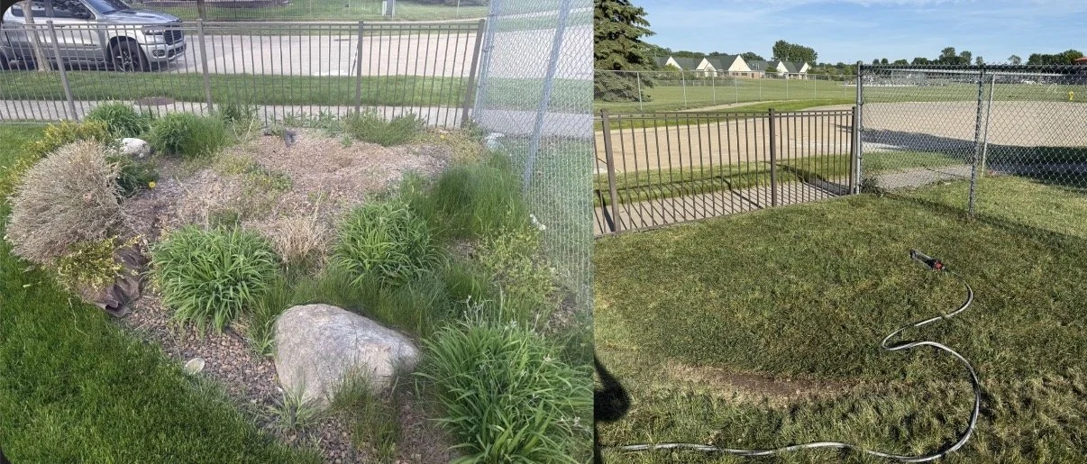 IMG_1064.jpeg