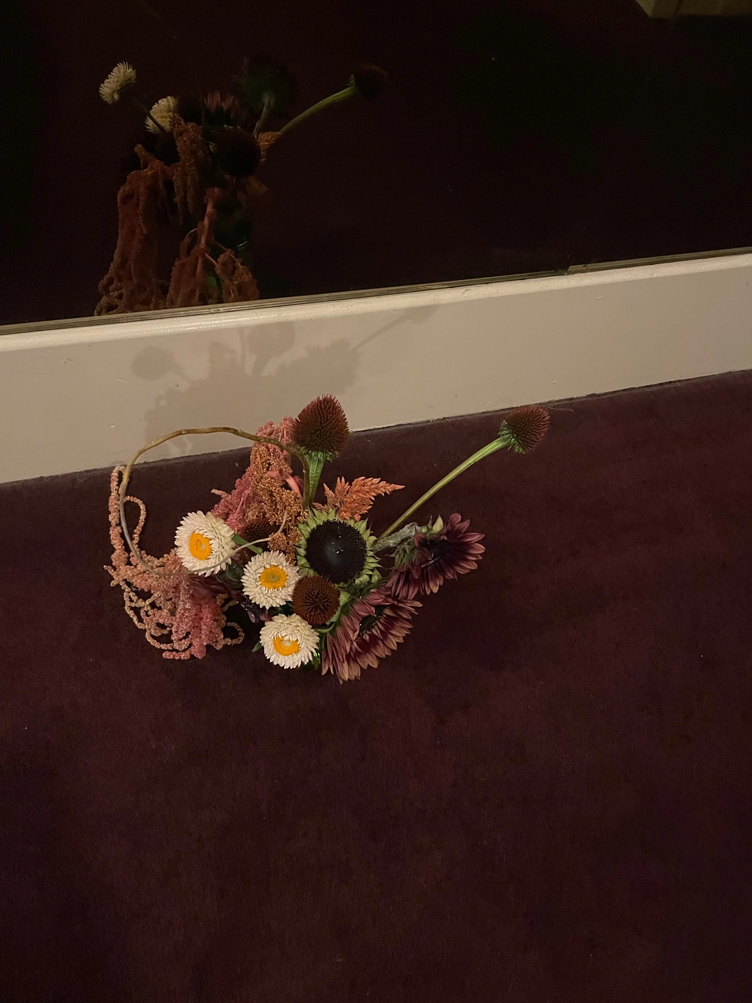 IMG_9229.jpeg