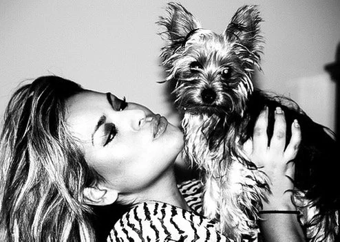 Girl's best friend 