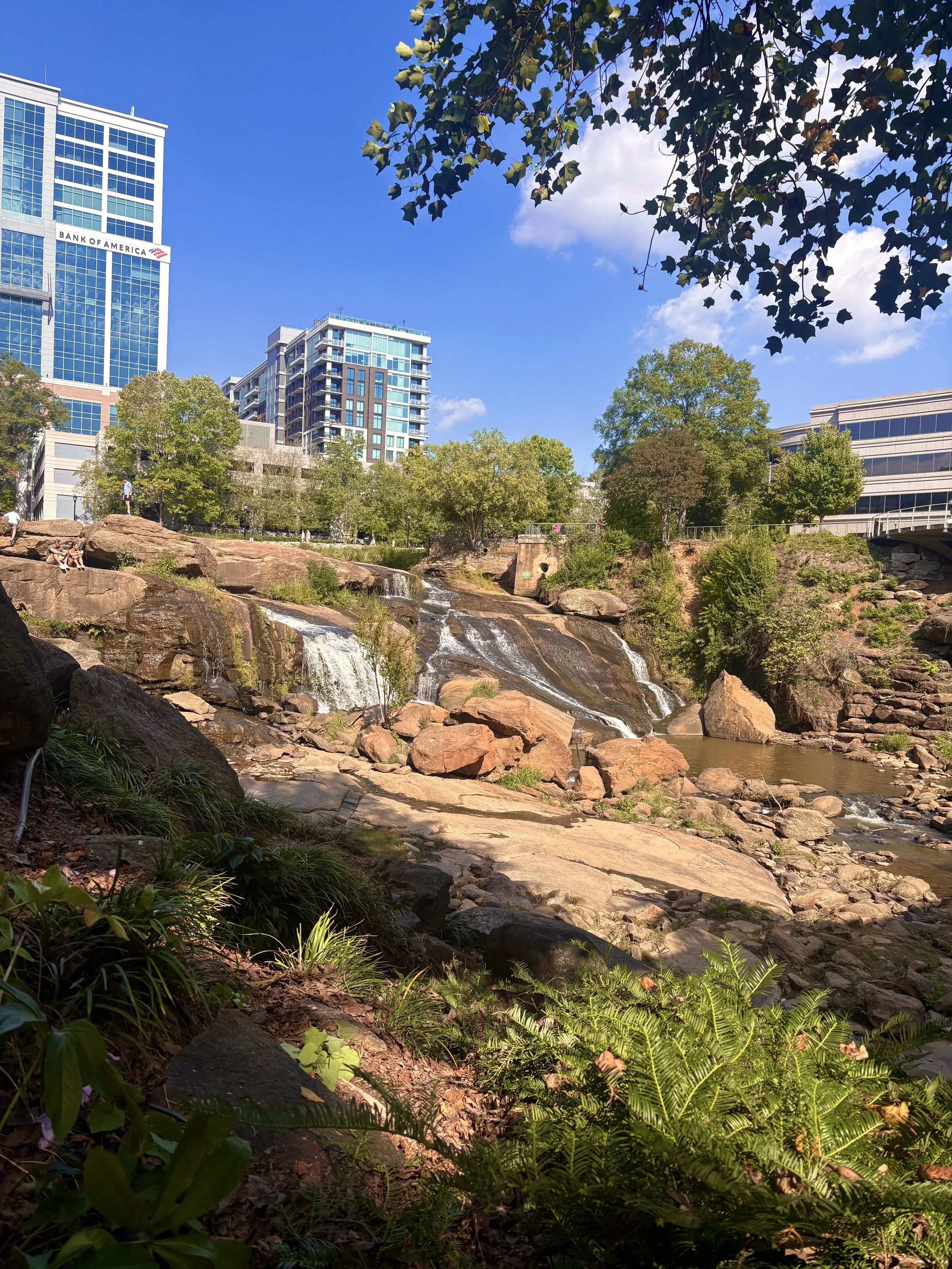 A city park with a small waterfall surrounded by rocks and green foliage, with office buildings and trees in the background on a sunny day.