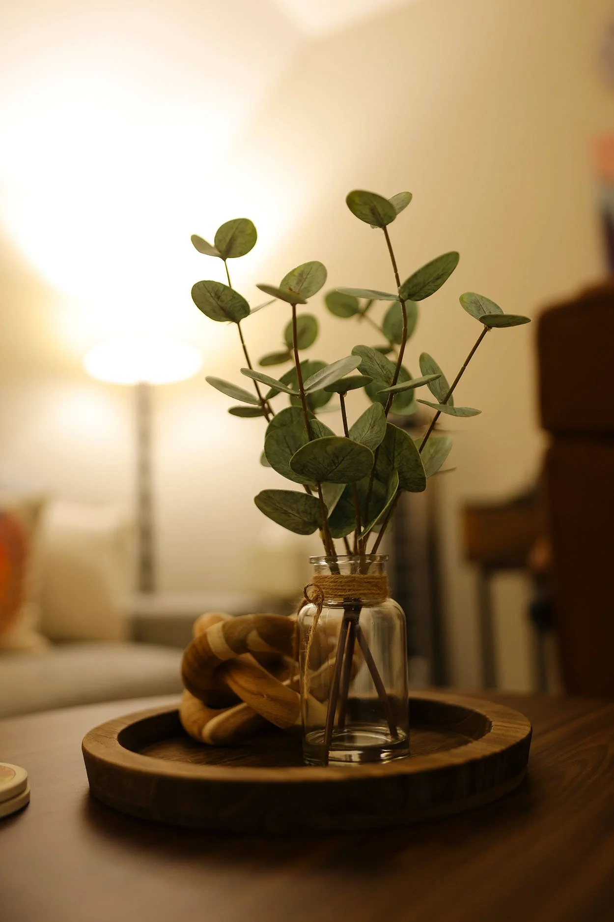 A small green leafy plant in a clear glass jar on a wooden tray, with a wicker decoration, in a softly lit indoor setting.