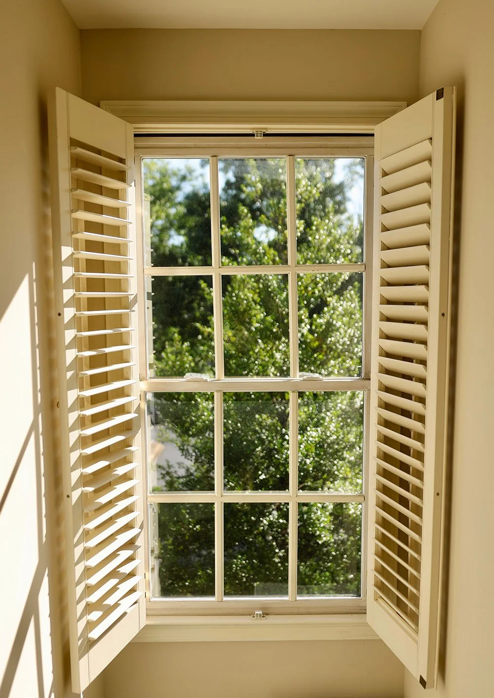 A window with white plantation shutters partially open, showing green trees outside on a sunny day.