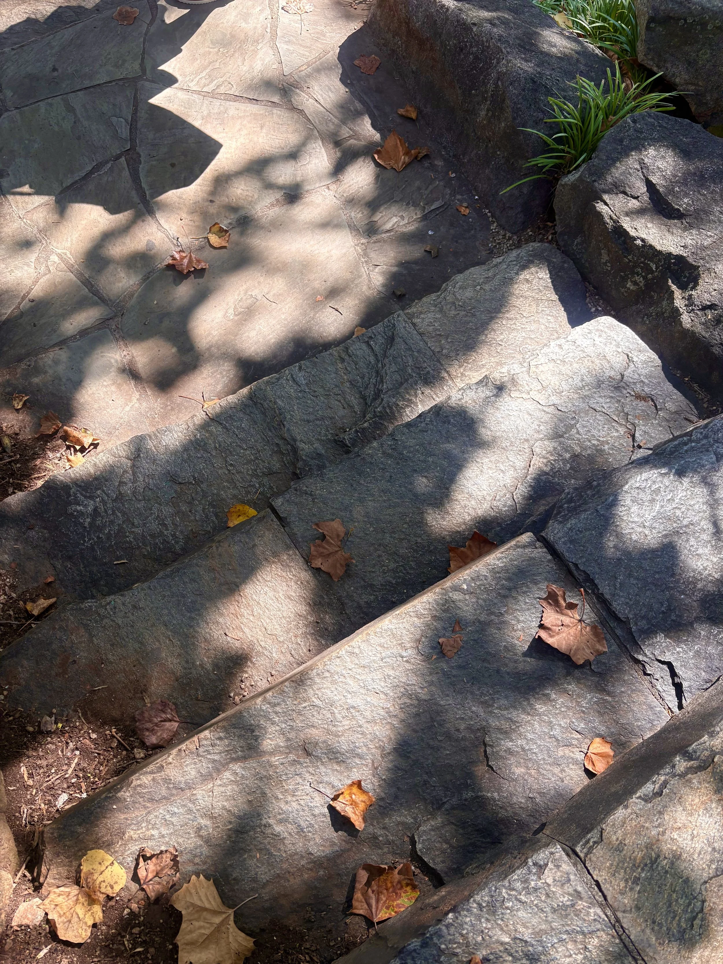 Close-up of a stone pathway with fallen brown and yellow leaves, surrounded by large rocks and green plants, with shadows cast over parts of the path.