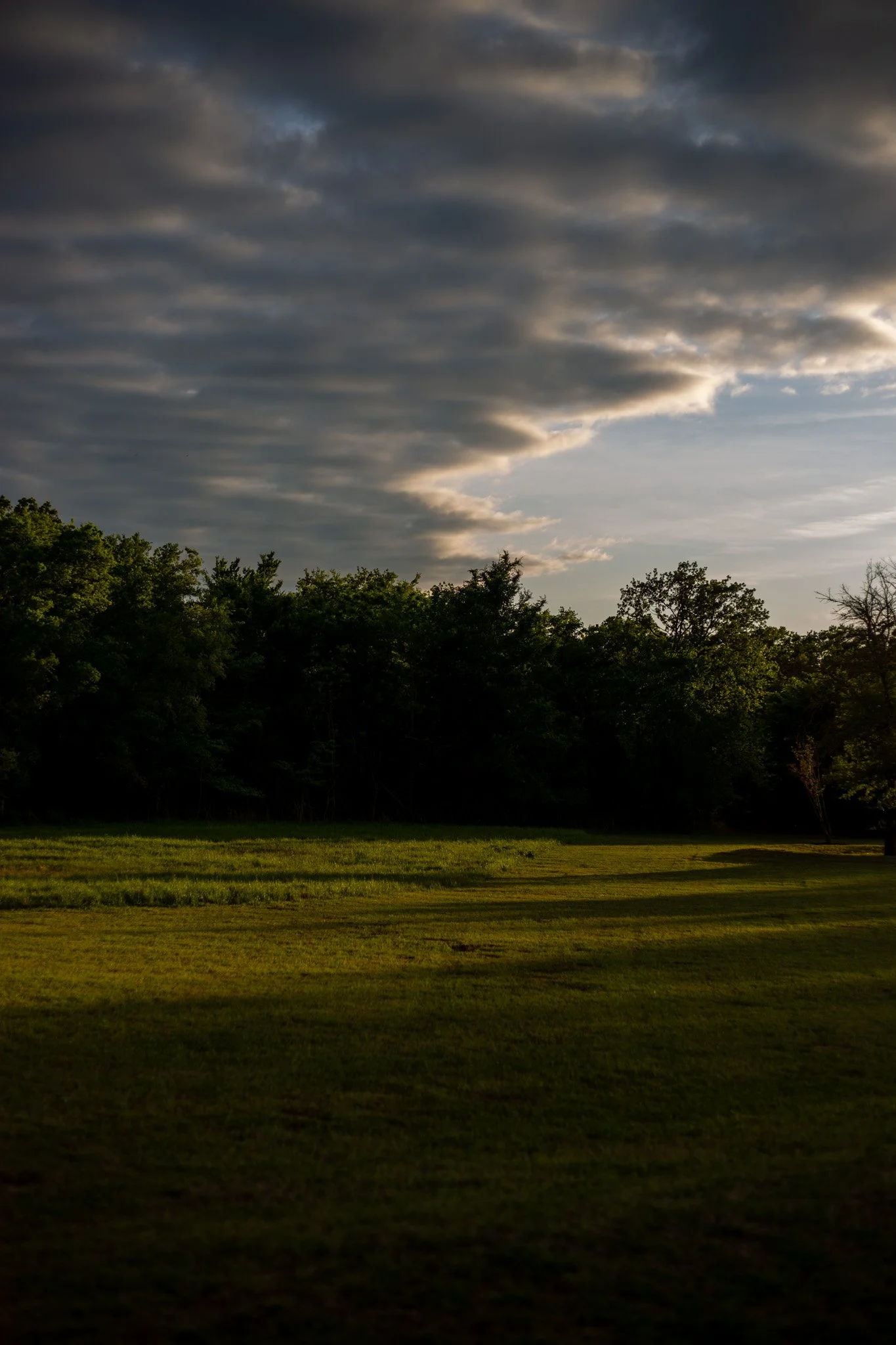 IMG_6100.jpg