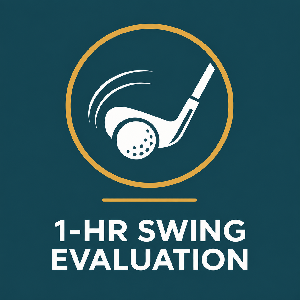 1 Hour Swing Evaluation
