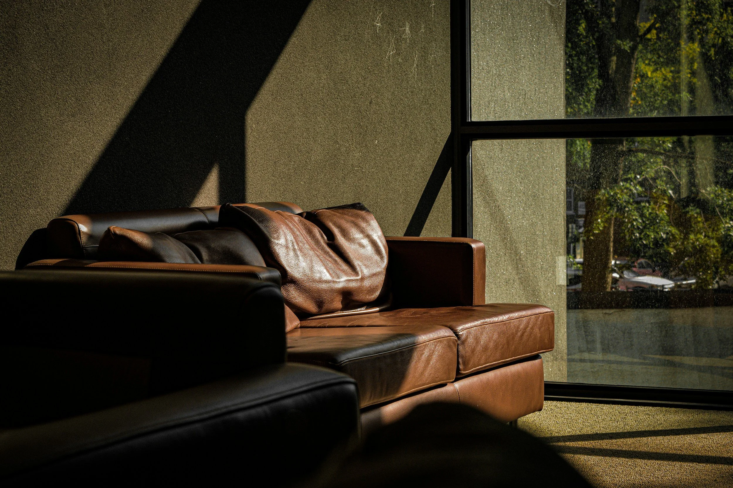 A brown leather couch in a room with large windows. Outside, trees with green leaves and parked cars visible. Sunlight casting shadows through the window.
