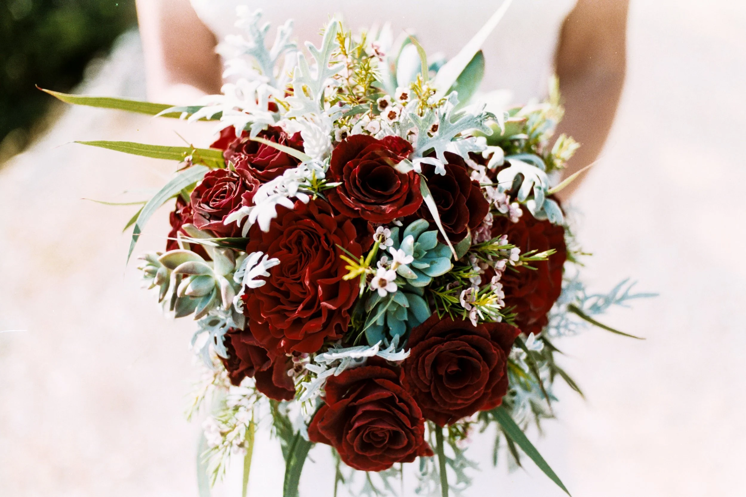 A vibrant bouquet of deep red roses, white and green succulents, and assorted greenery arranged together.