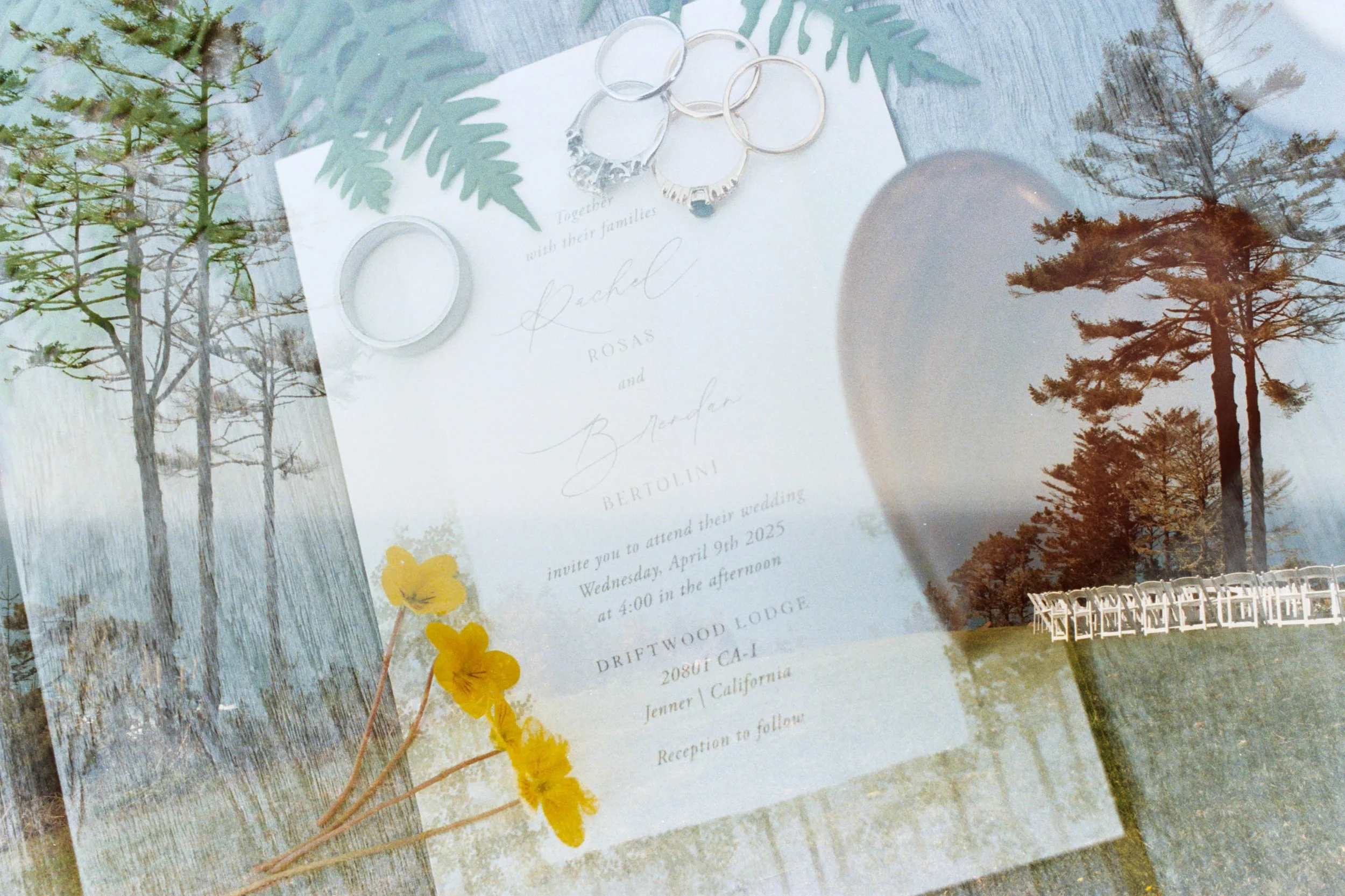 A wedding invitation card with gold and white rings, green fern leaves, and yellow flowers on the table with a hardcover book and reflections of trees in the glass.