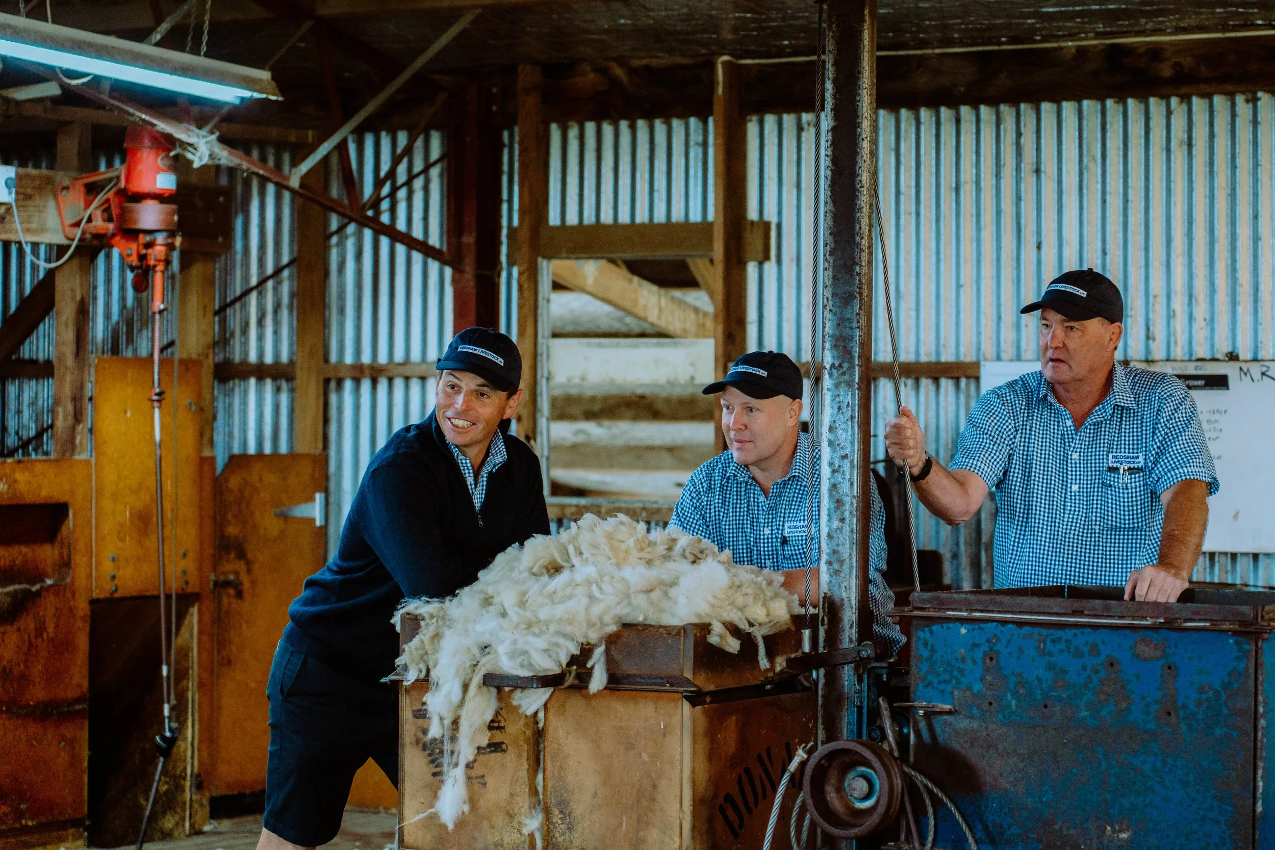 Three men in plaid shirts and black caps working with sheep wool or fleece inside a barn or workshop. One man is smiling, a second observes, and a third is holding a tool.