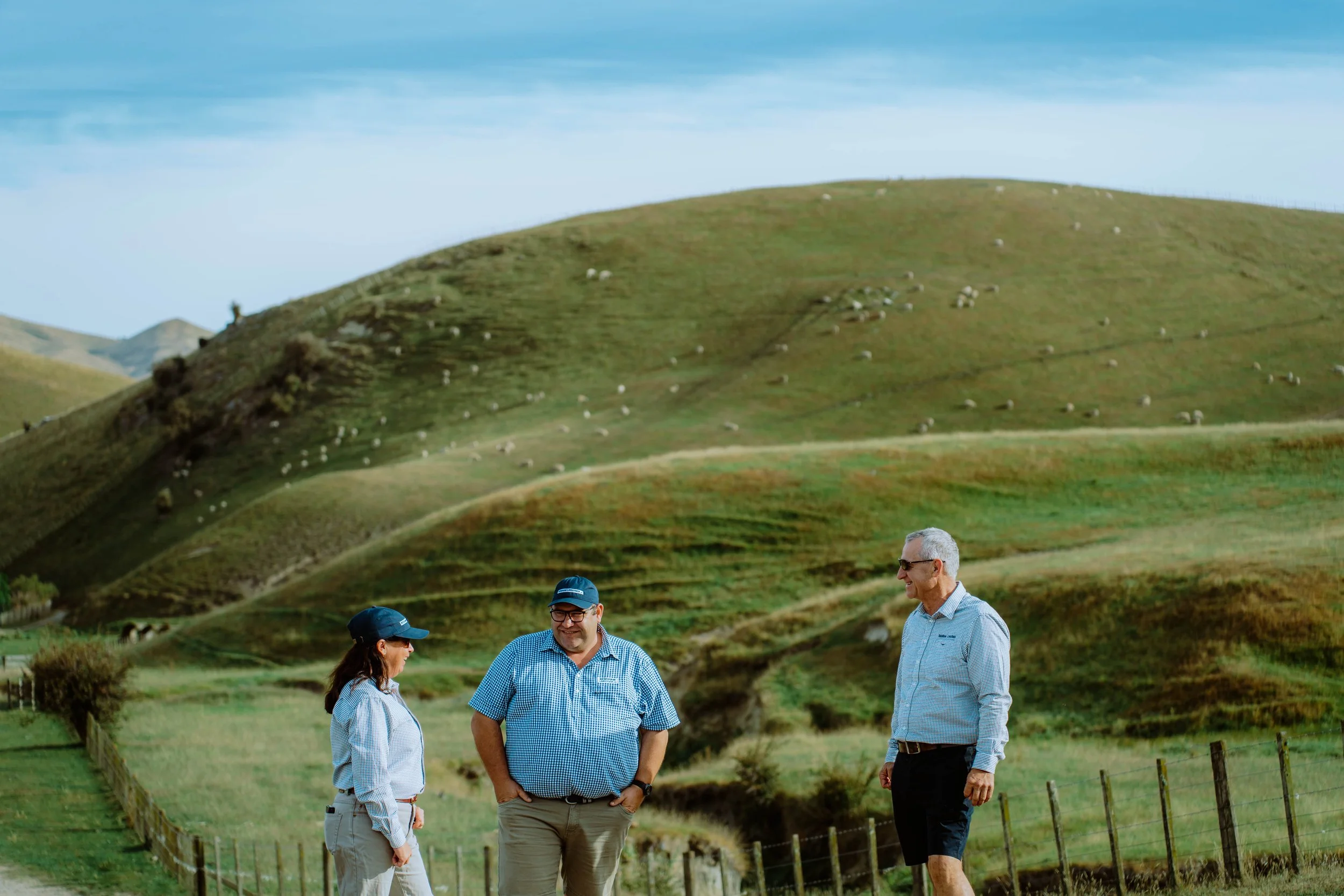 Four people standing and talking outdoors near a wooden fence on a grassy hillside with sheep grazing in the distance under a blue sky.
