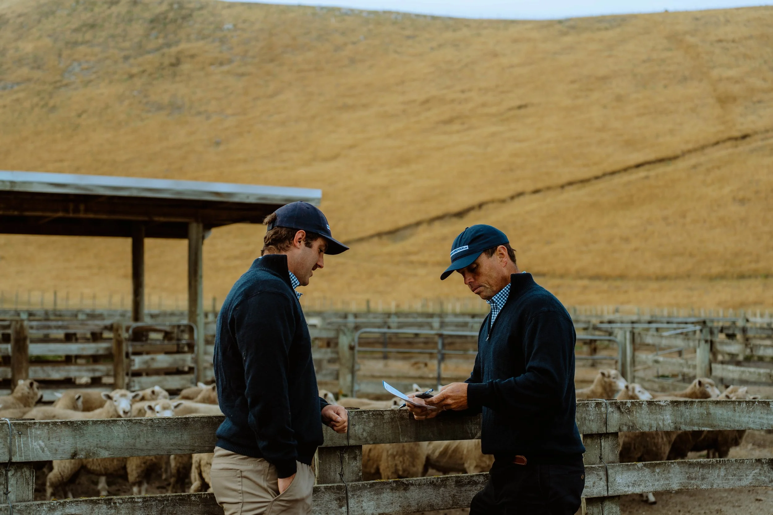 Two men wearing dark jackets and caps stand by a livestock pen, looking at a clipboard. Behind them, livestock, possibly sheep, are present with a large hay bale on a structure in a rural farm setting.